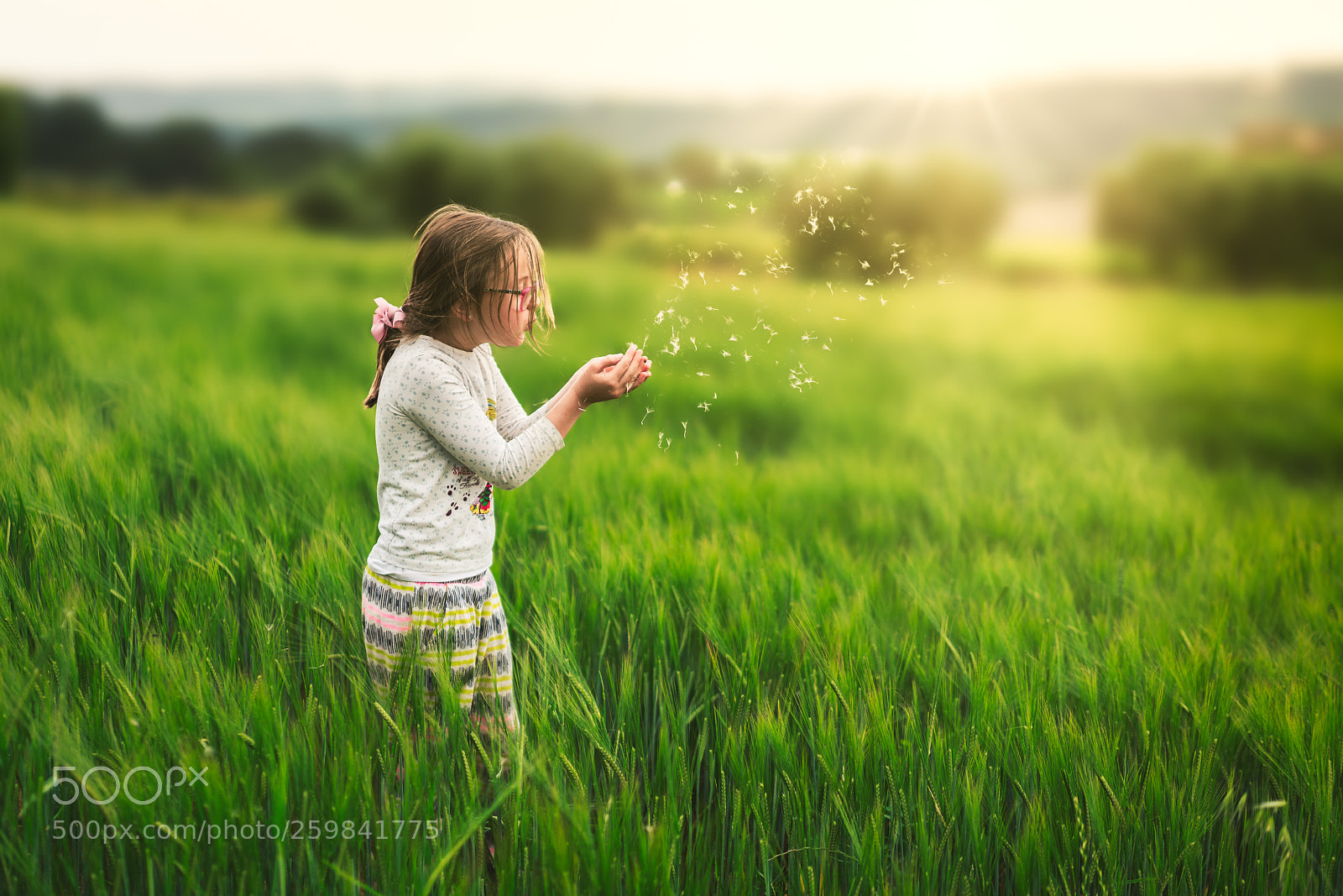 Sony a7R II sample photo. The breath photography