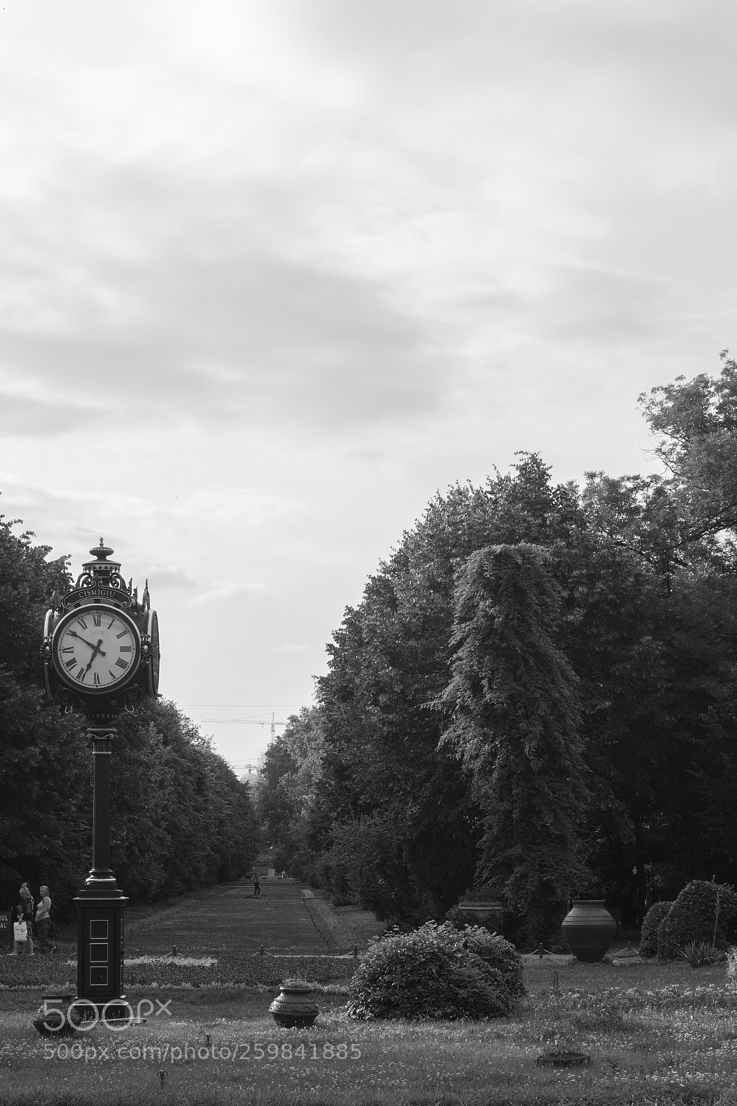 Canon EOS 60D sample photo. Sdm-27.05.2018 photography
