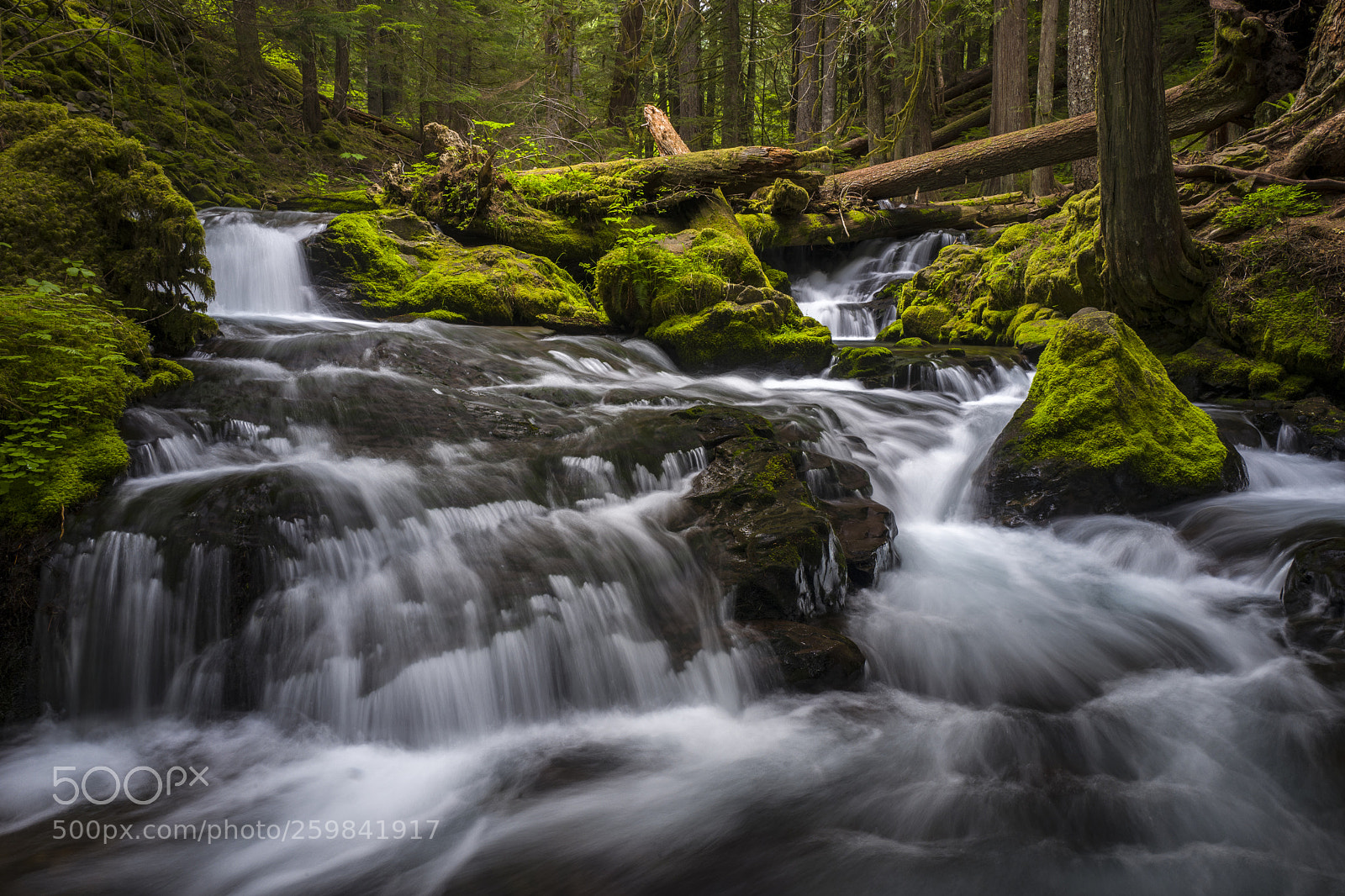 Leica Q (Typ 116) sample photo. Cascades at panther creek photography