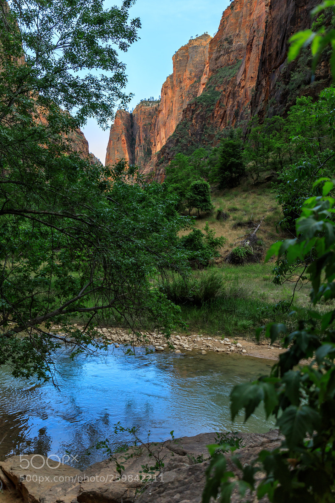 Canon EOS 5D Mark IV sample photo. Zion national park 0991 photography