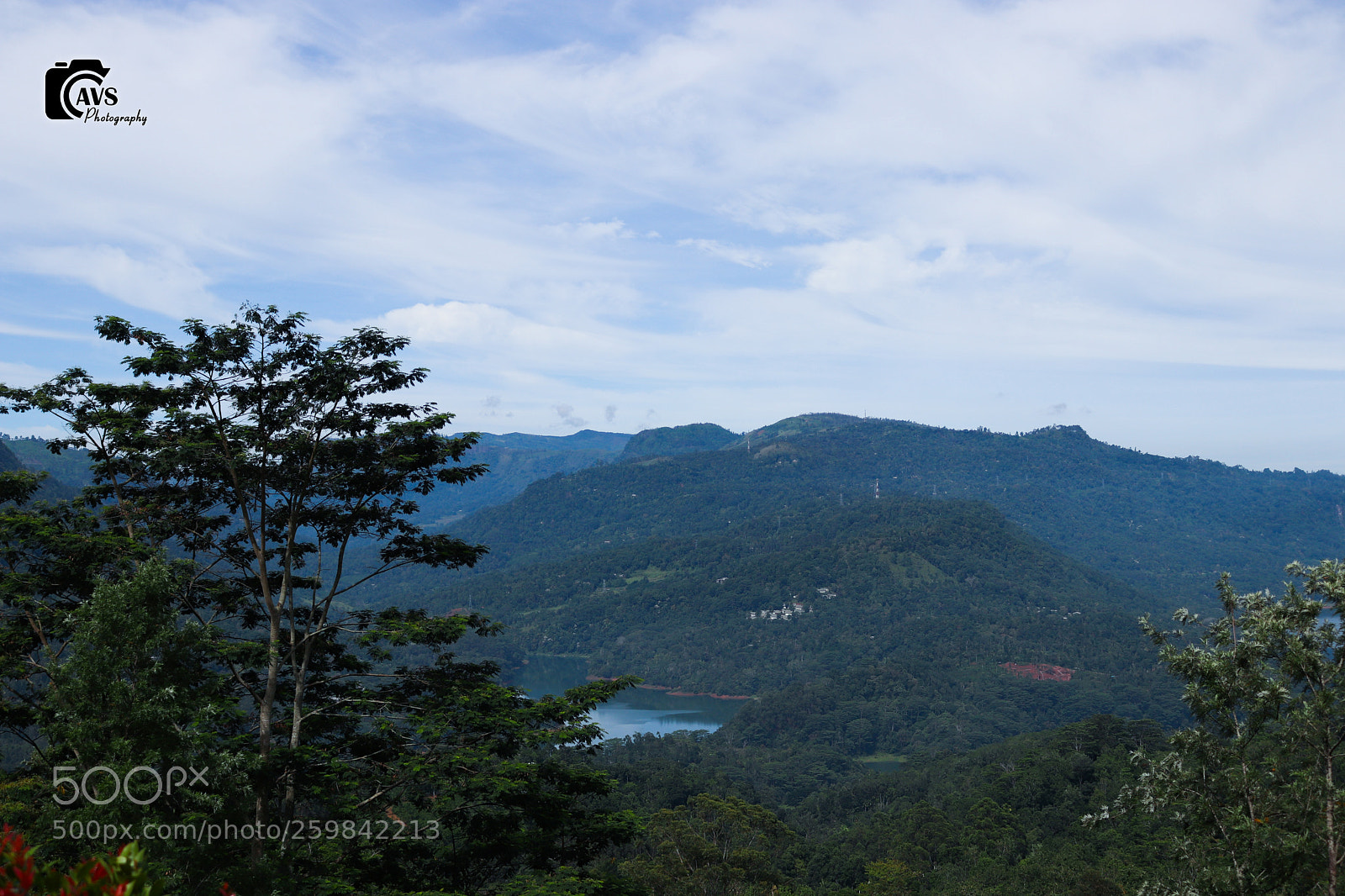 Canon EOS 800D (EOS Rebel T7i / EOS Kiss X9i) sample photo. Untitled photography