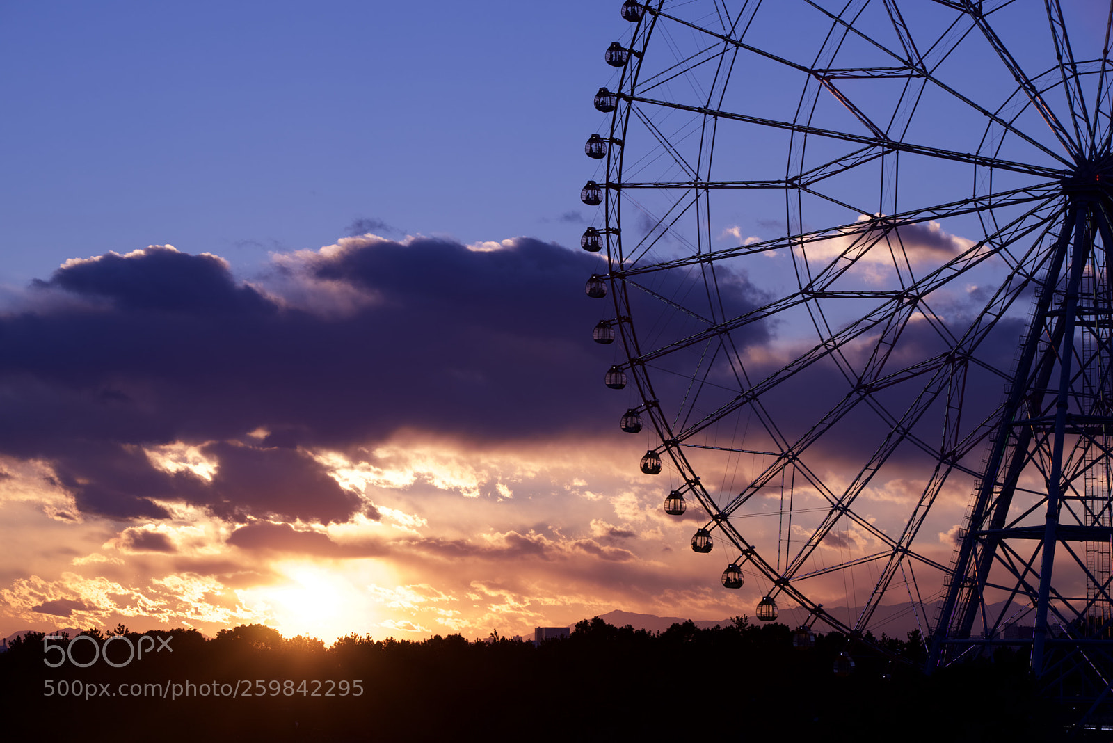 Nikon D750 sample photo. Ferris wheel during the photography
