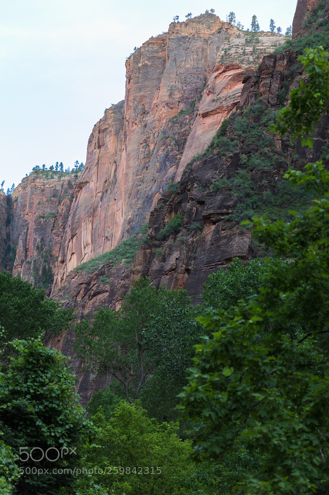 Canon EOS 5D Mark IV sample photo. Zion national park 1051 photography