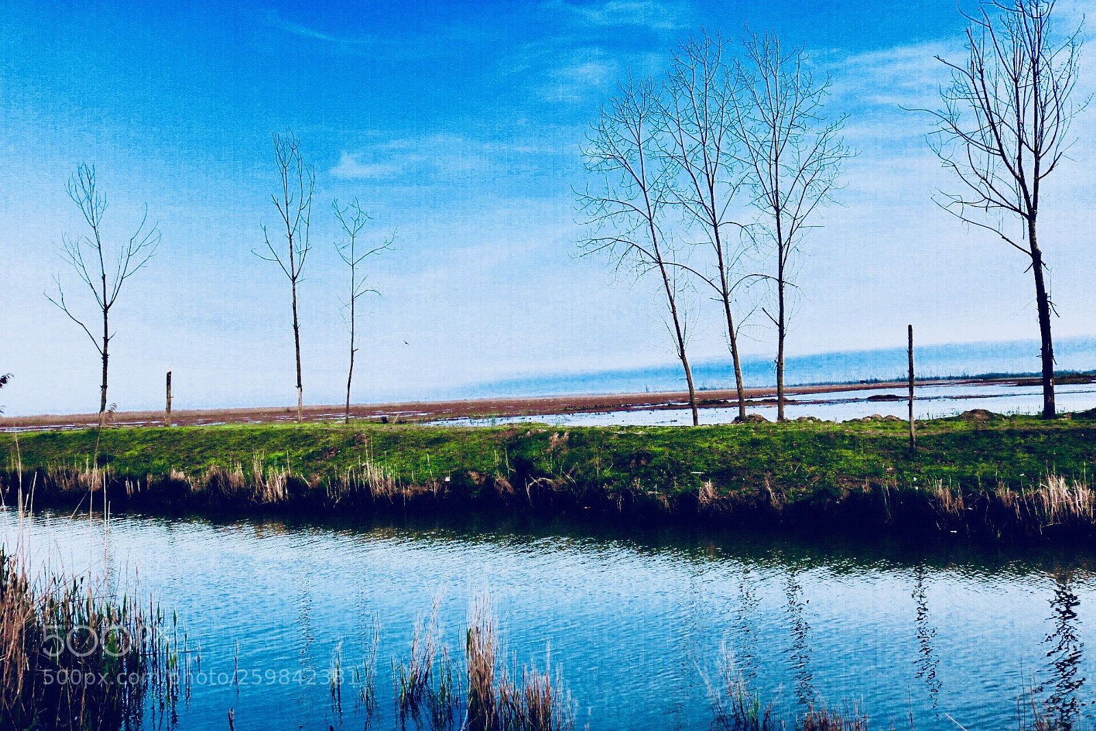Canon EOS 750D (EOS Rebel T6i / EOS Kiss X8i) sample photo. Riverside  photography