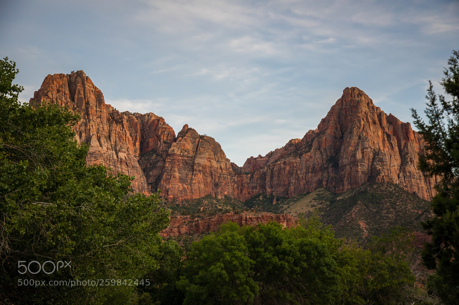 Canon EOS 5D Mark IV sample photo. Zion national park 1106 photography