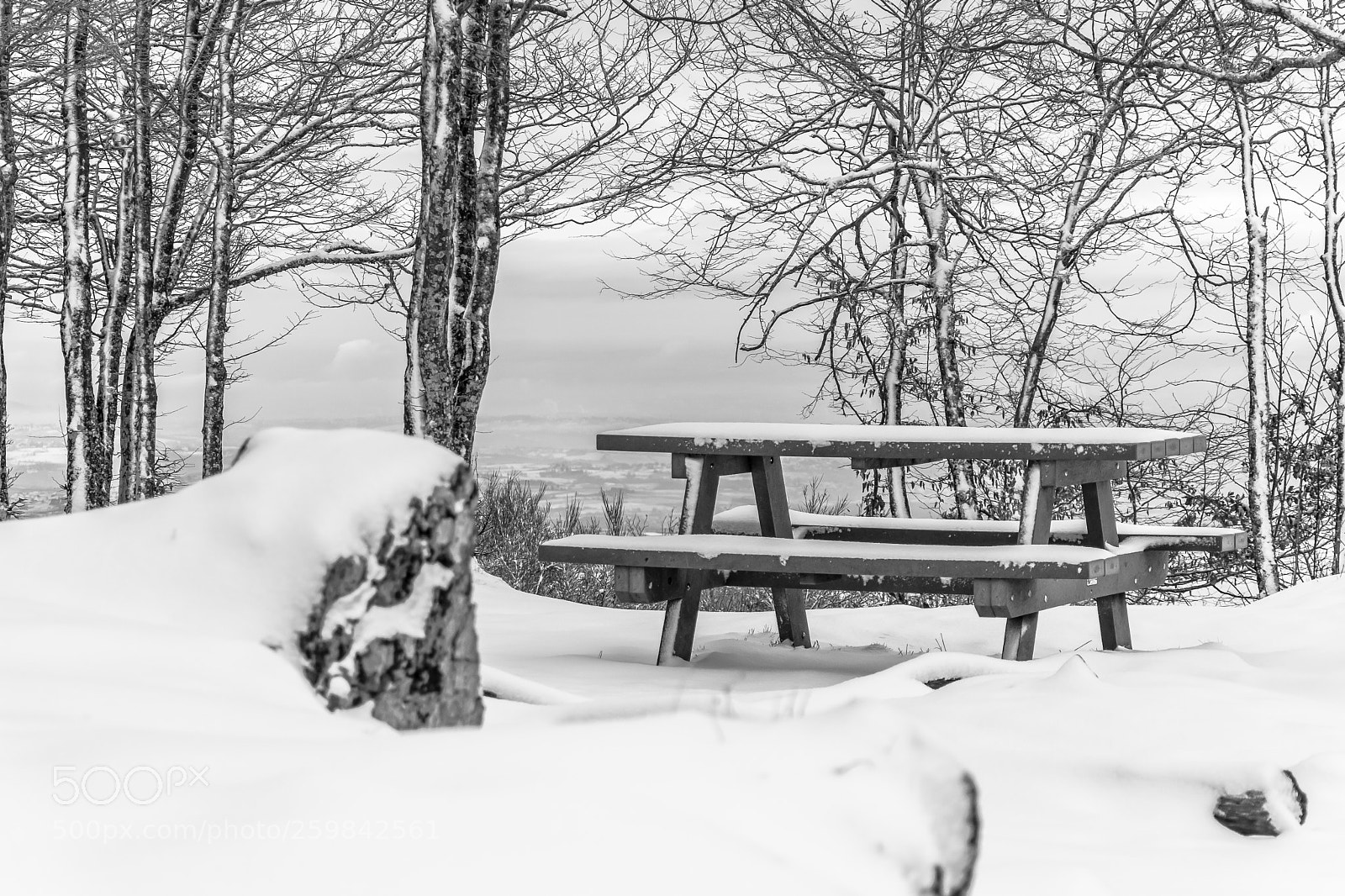 Nikon D7100 sample photo. Table de pique nique photography