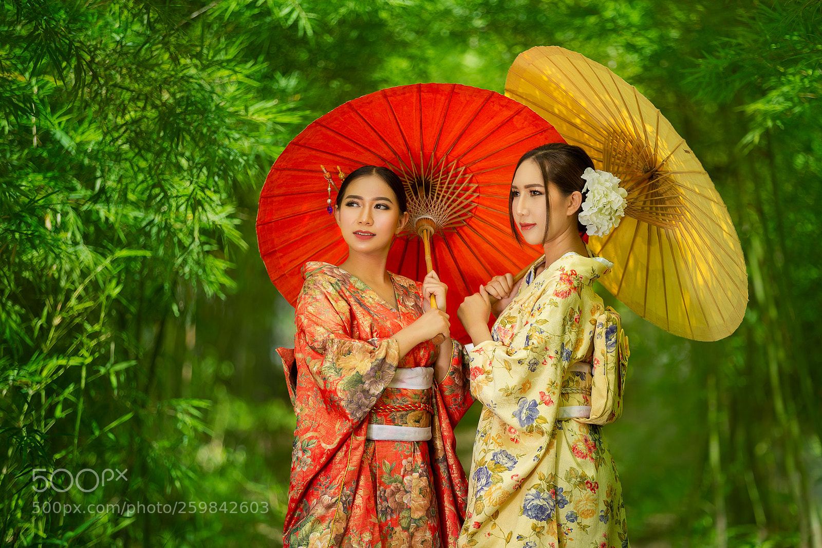 Canon EOS 6D sample photo. Japan traditional dress "kimono" photography