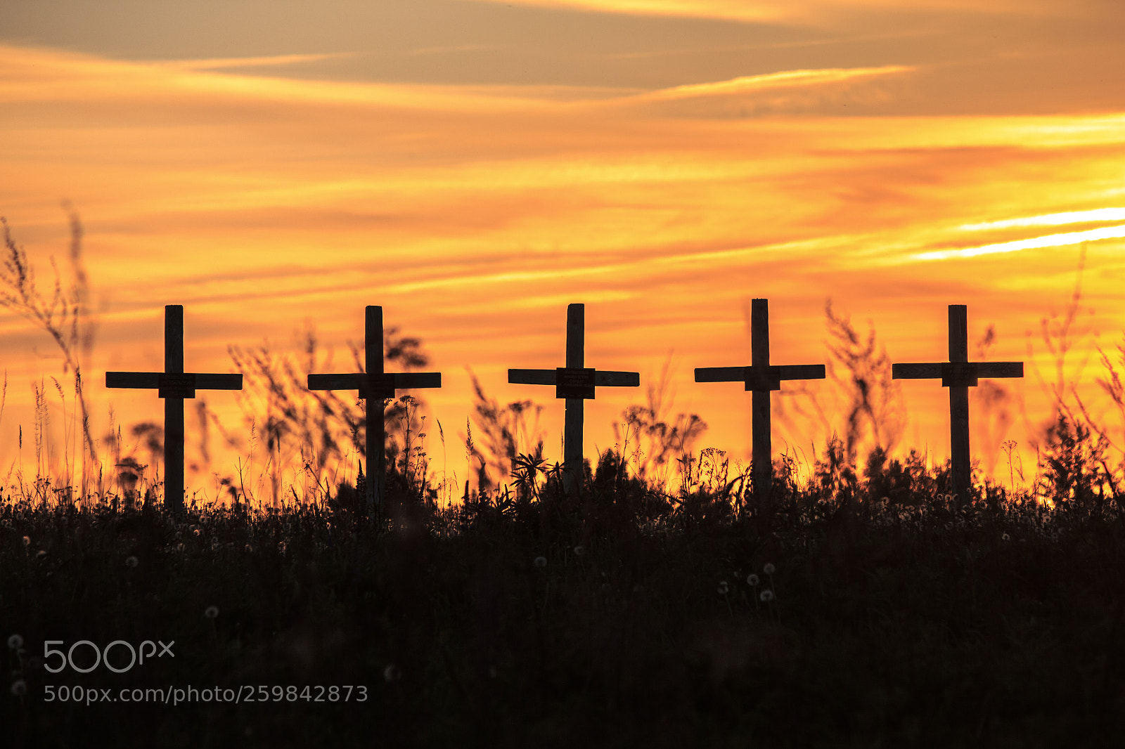 Canon EOS 550D (EOS Rebel T2i / EOS Kiss X4) sample photo. Memorial battle of valutino photography