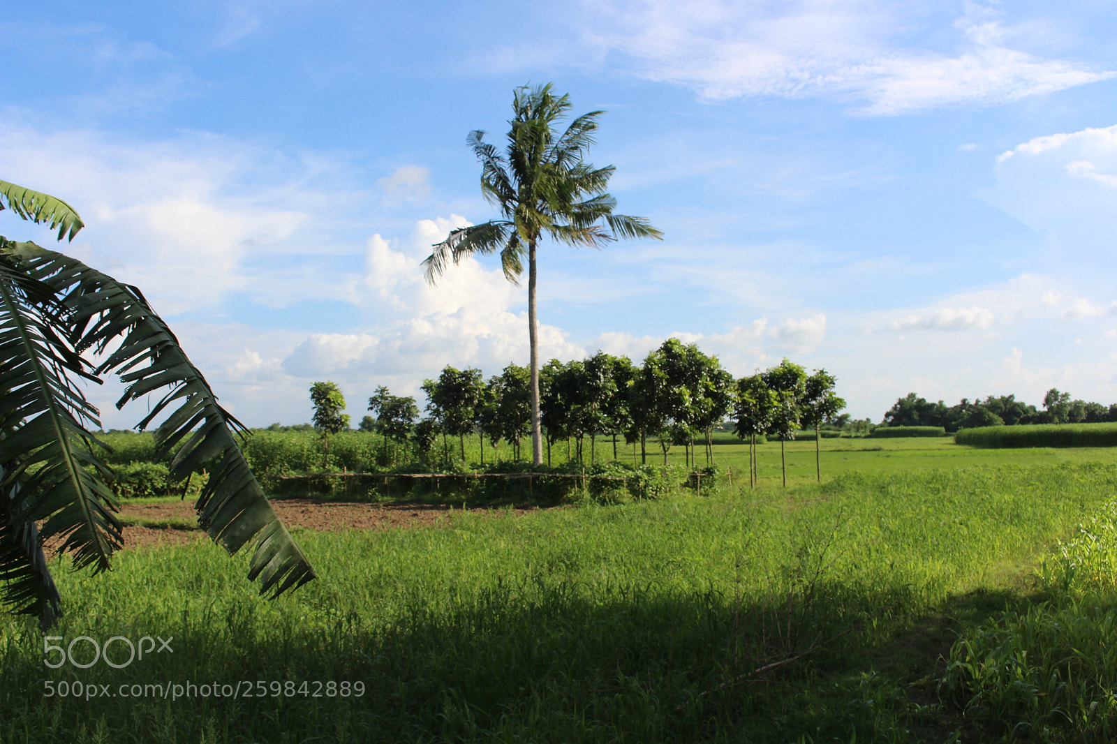 Canon EOS 700D (EOS Rebel T5i / EOS Kiss X7i) sample photo. Beautiful natural scenery beautiful photography