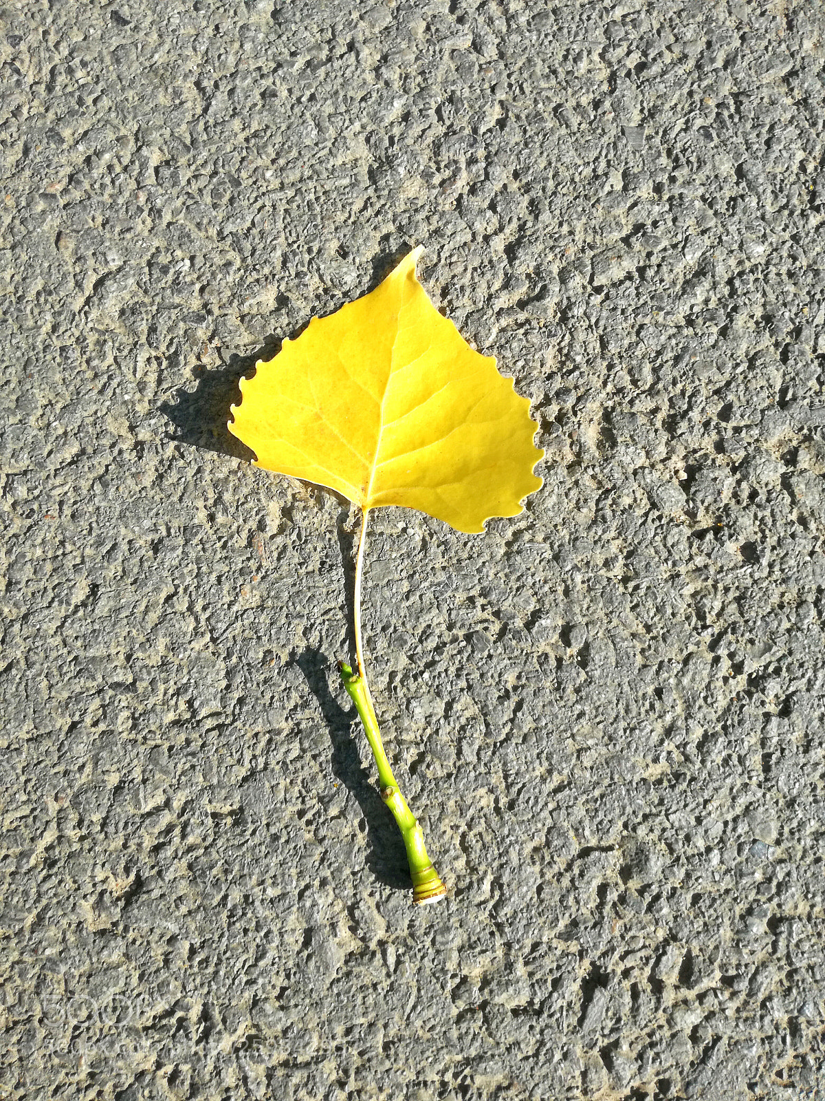 HUAWEI P9 LITE sample photo. Yellow and grey photography