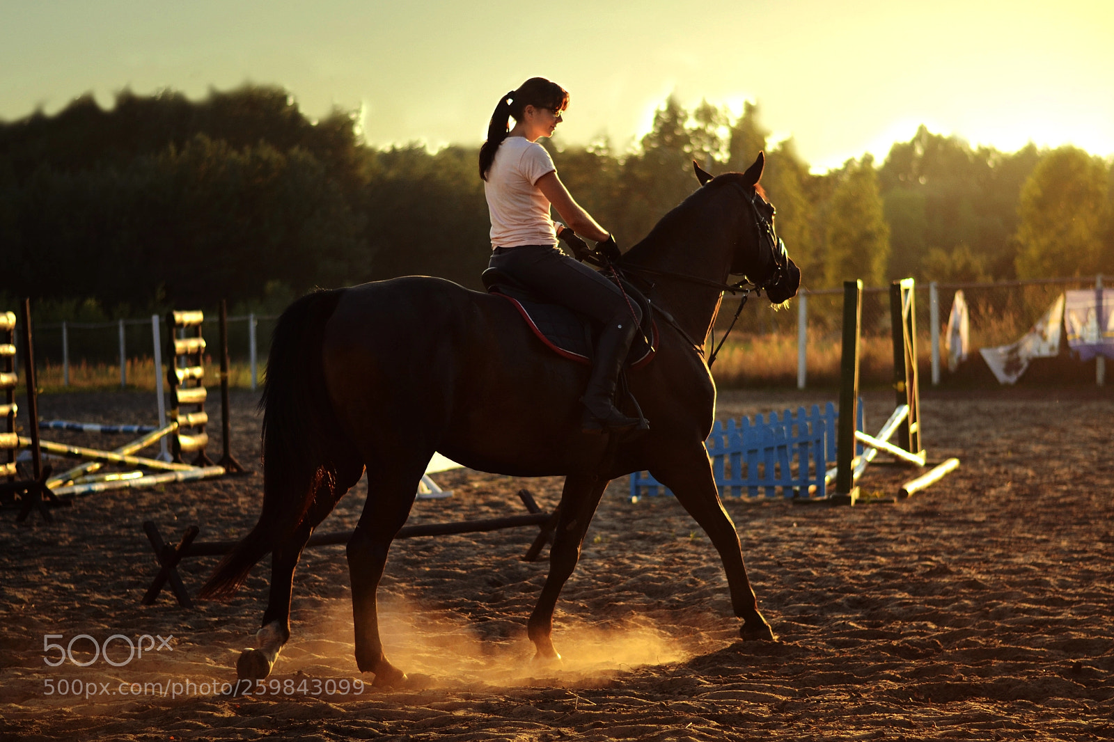 Nikon D3100 sample photo. Training photography