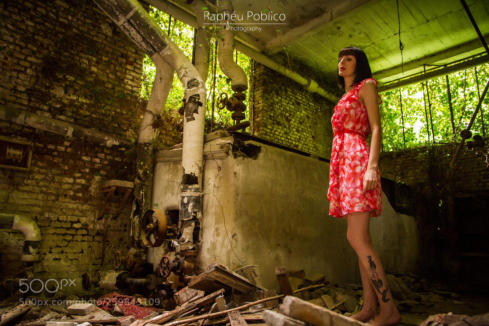 Canon EOS 7D sample photo. The lost industry photography