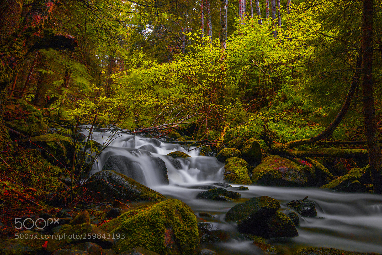 Nikon D810 sample photo. Fairy falls waterfall photography