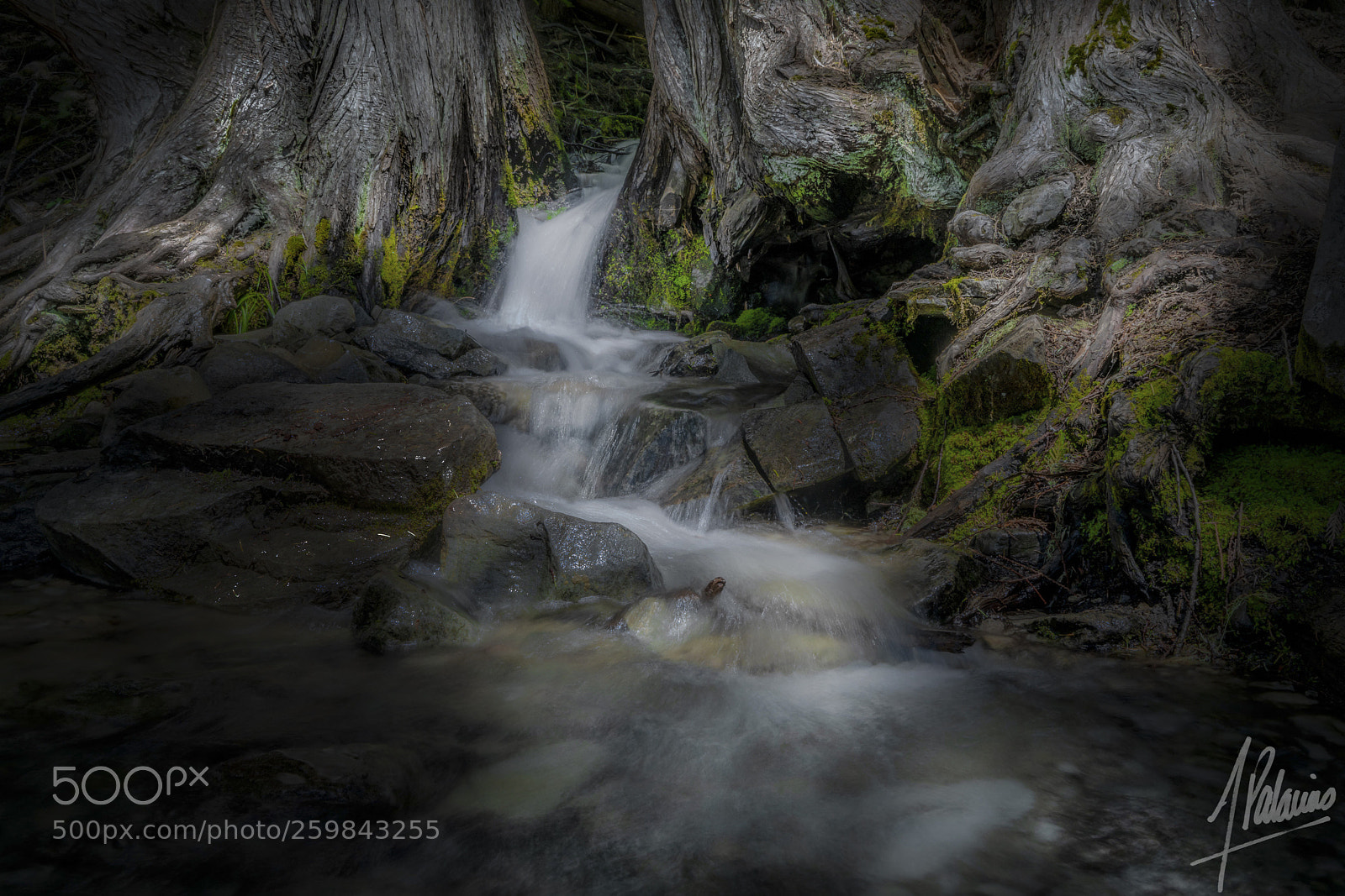 Sony a7R II sample photo. Complex photography