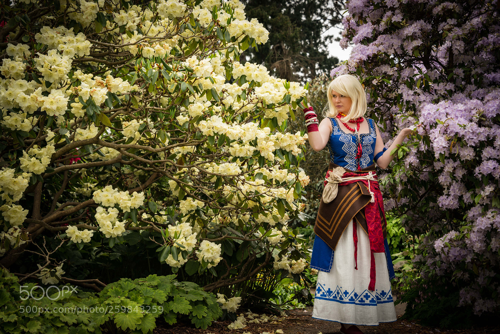Nikon D800 sample photo. Copyright james armandary photography photography