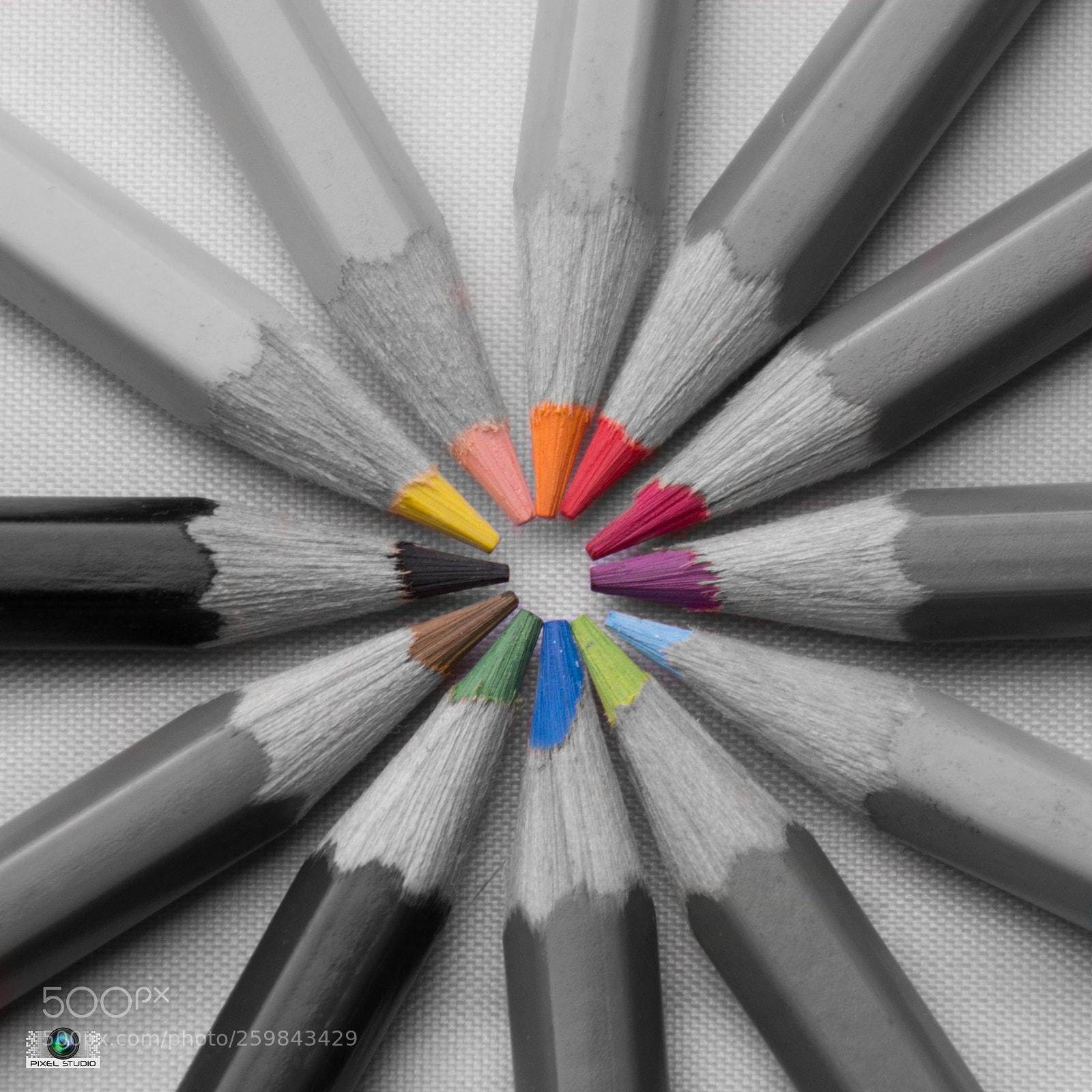Nikon D7200 sample photo. Pixel studio photography