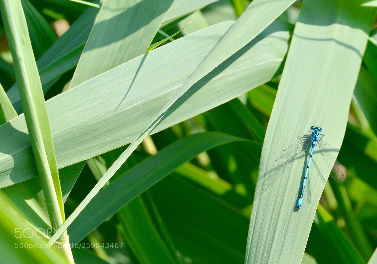 Nikon D7100 sample photo. Untitled photography