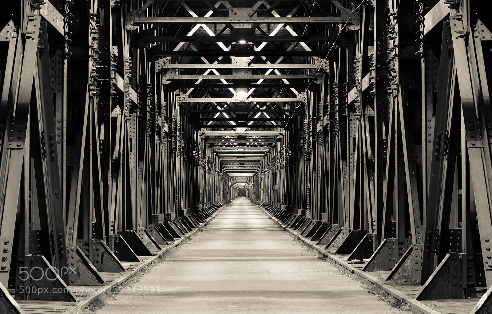 Nikon D610 sample photo. The bridge photography