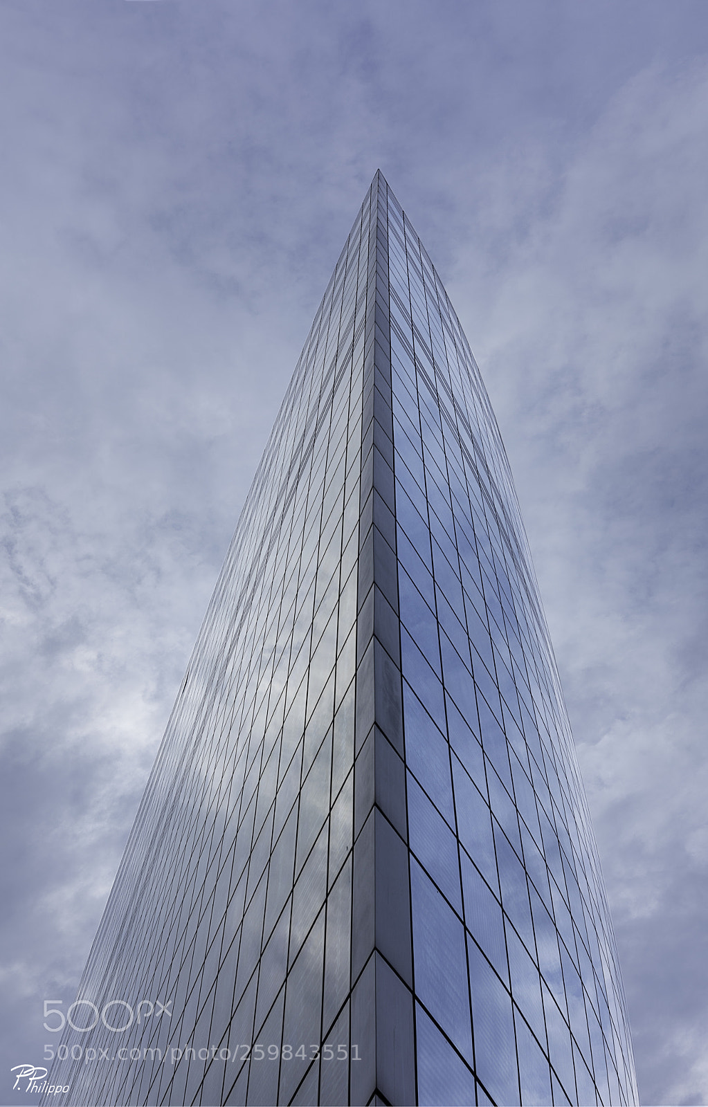 Canon EOS 5D Mark IV sample photo. Up to the sky photography
