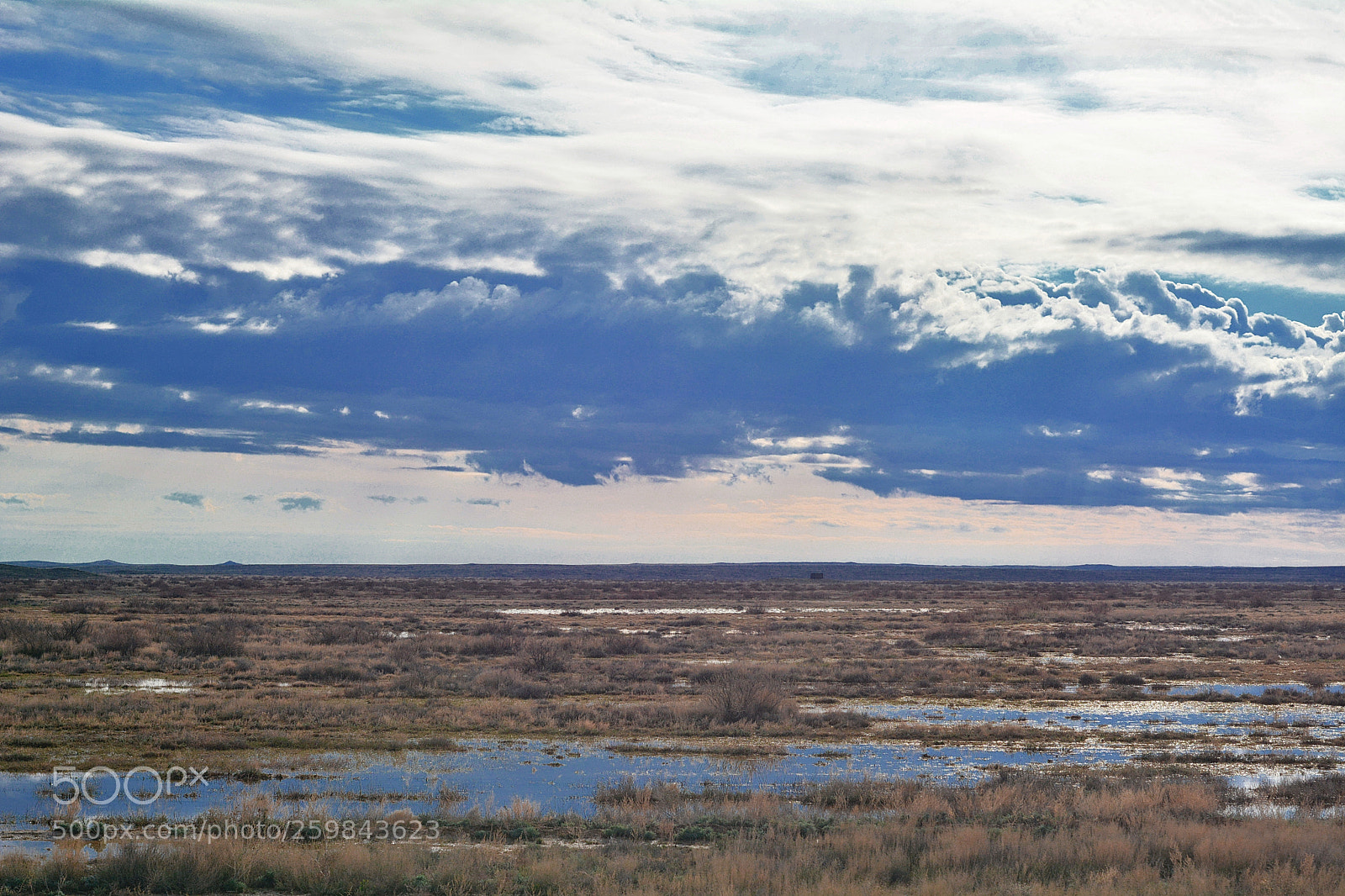 Nikon D7100 sample photo. Steppe in the spring photography
