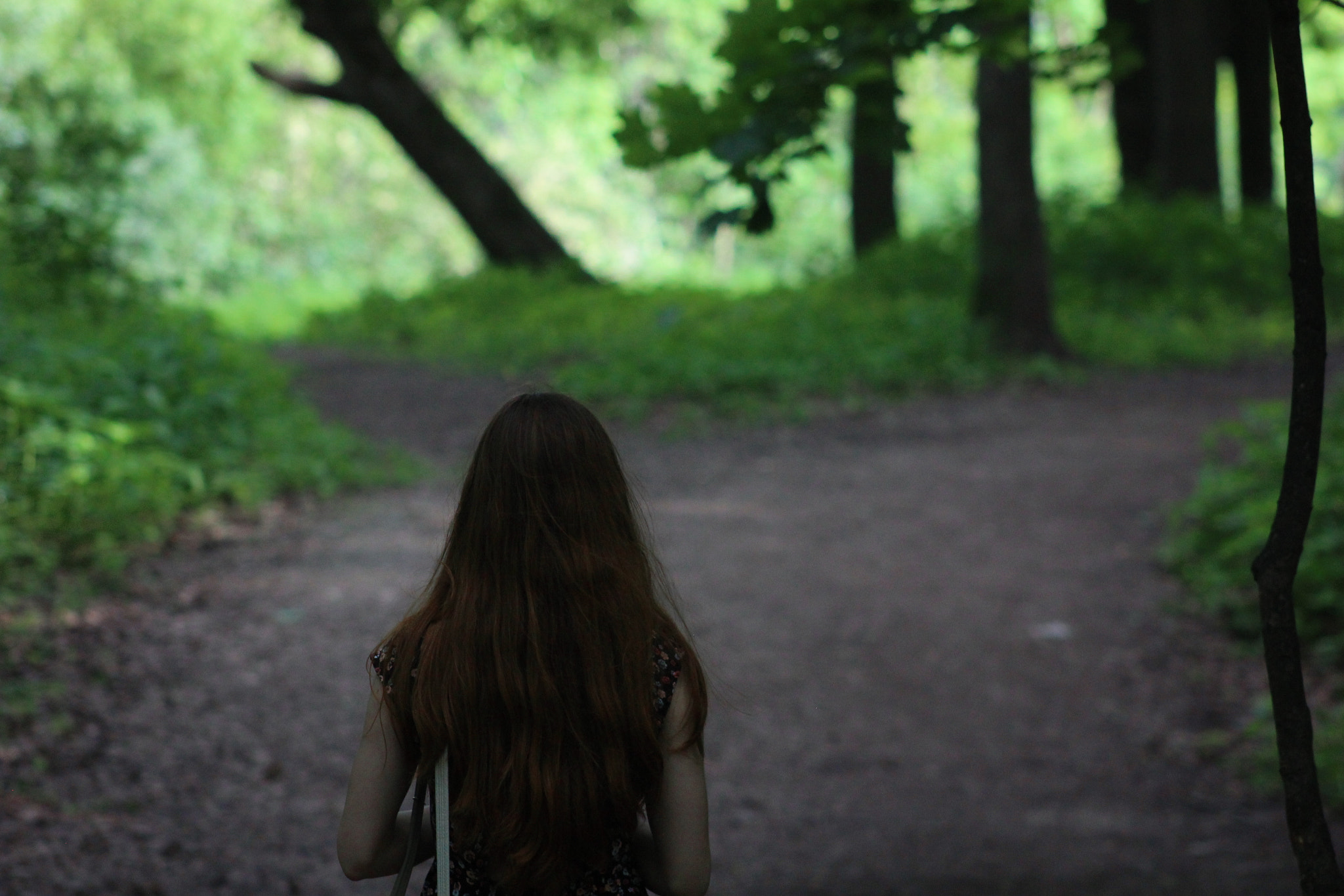 Canon EF 75-300mm f/4-5.6 sample photo. Forest photography