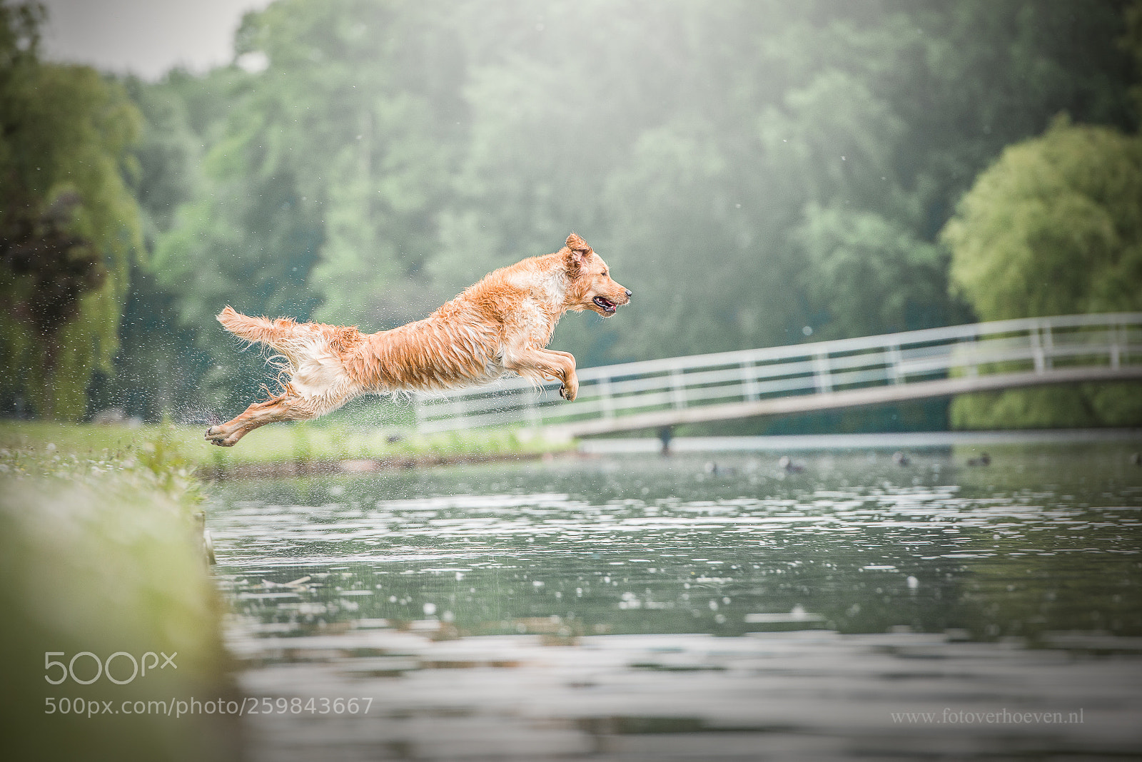 Nikon D800 sample photo. Giulia taking off! photography