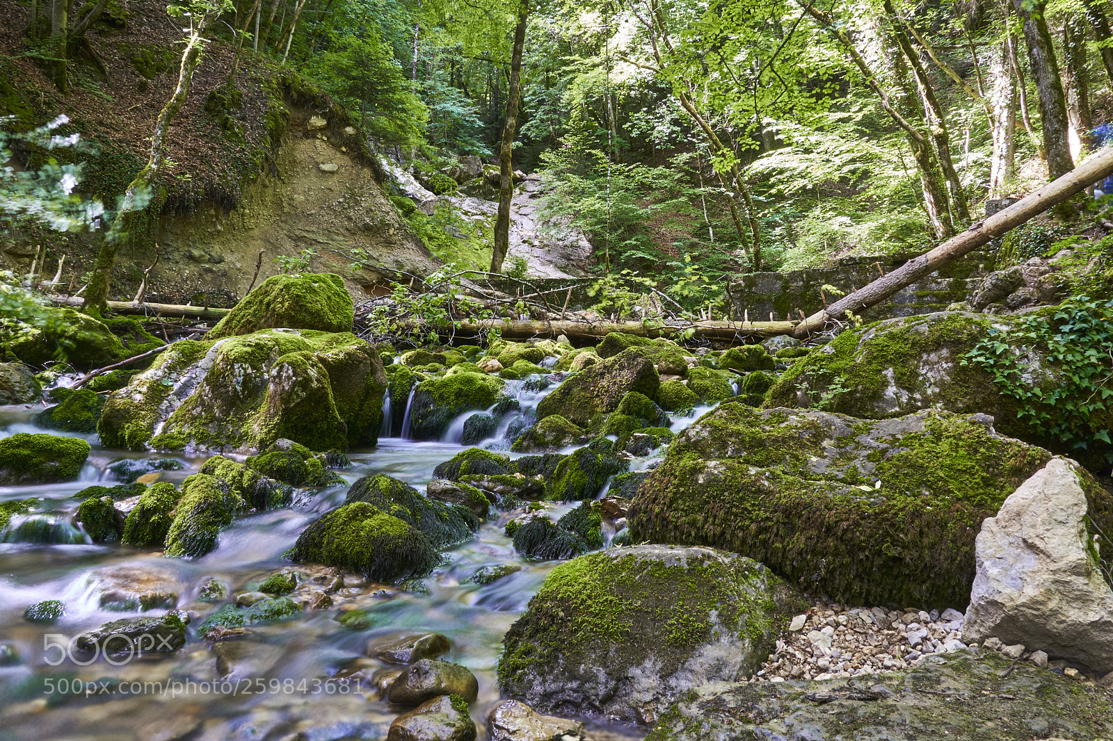 Sony a6500 sample photo. Exploring the stream photography