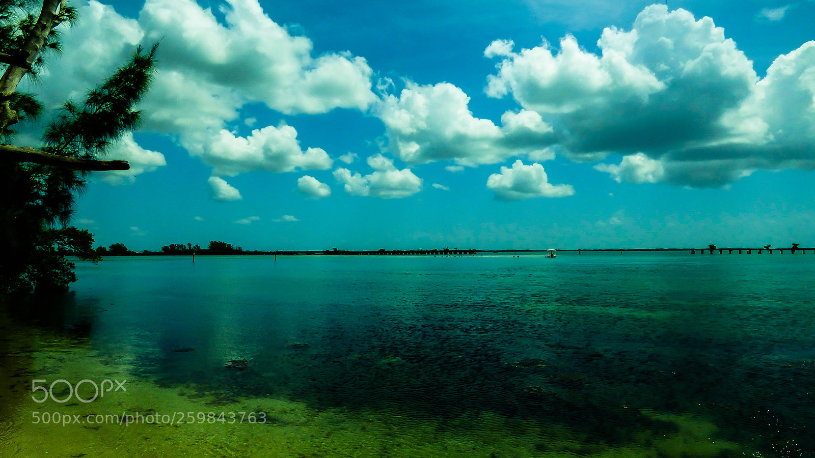 Panasonic Lumix DMC-FZ70 sample photo. Boca ciega bay photography