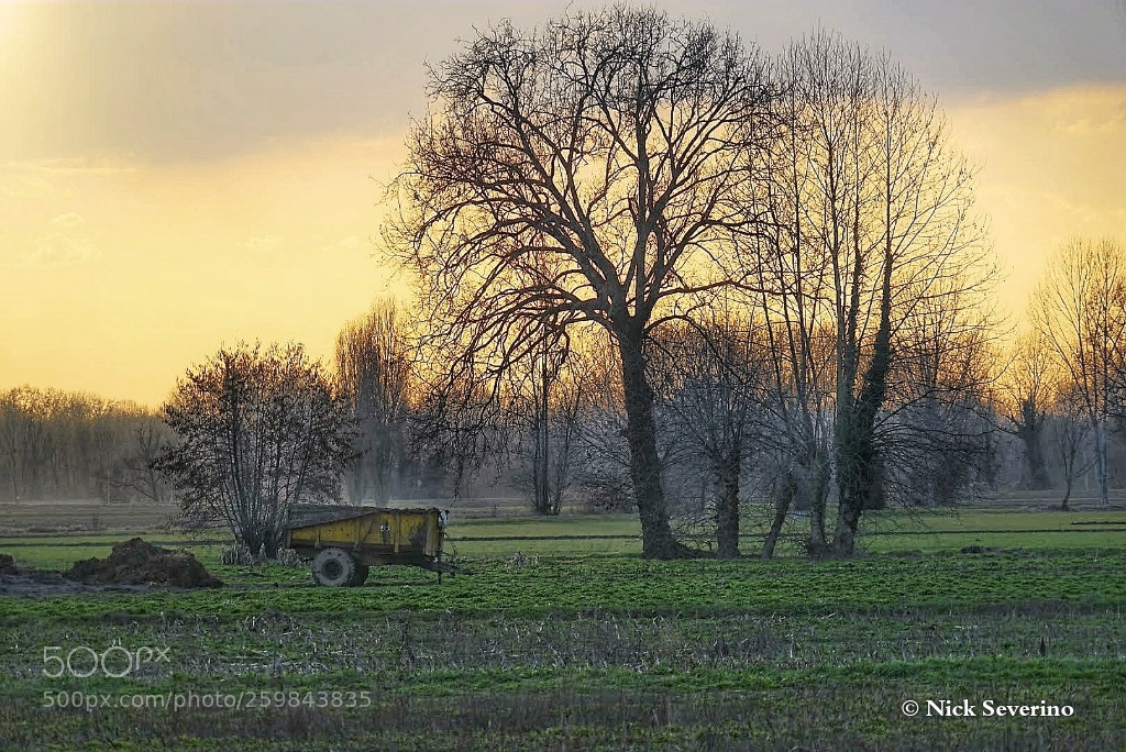 Sony a7R sample photo. When the farmer has photography