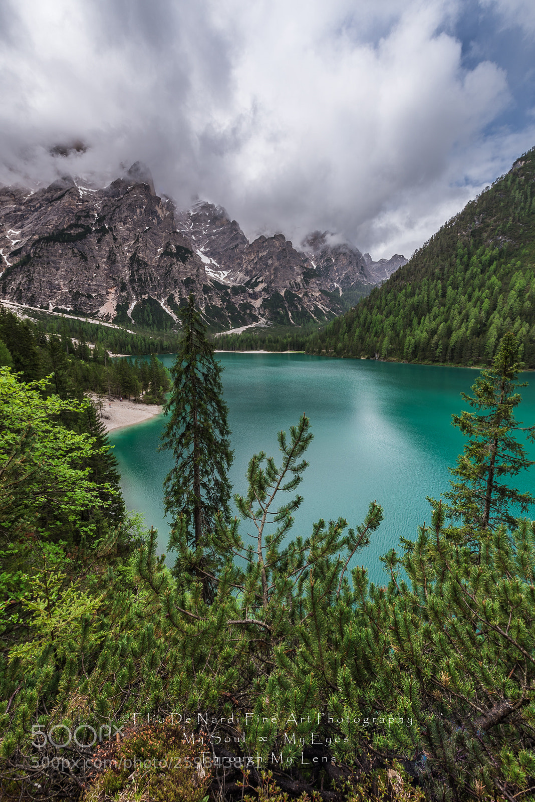 Nikon D810 sample photo. Canada ? photography
