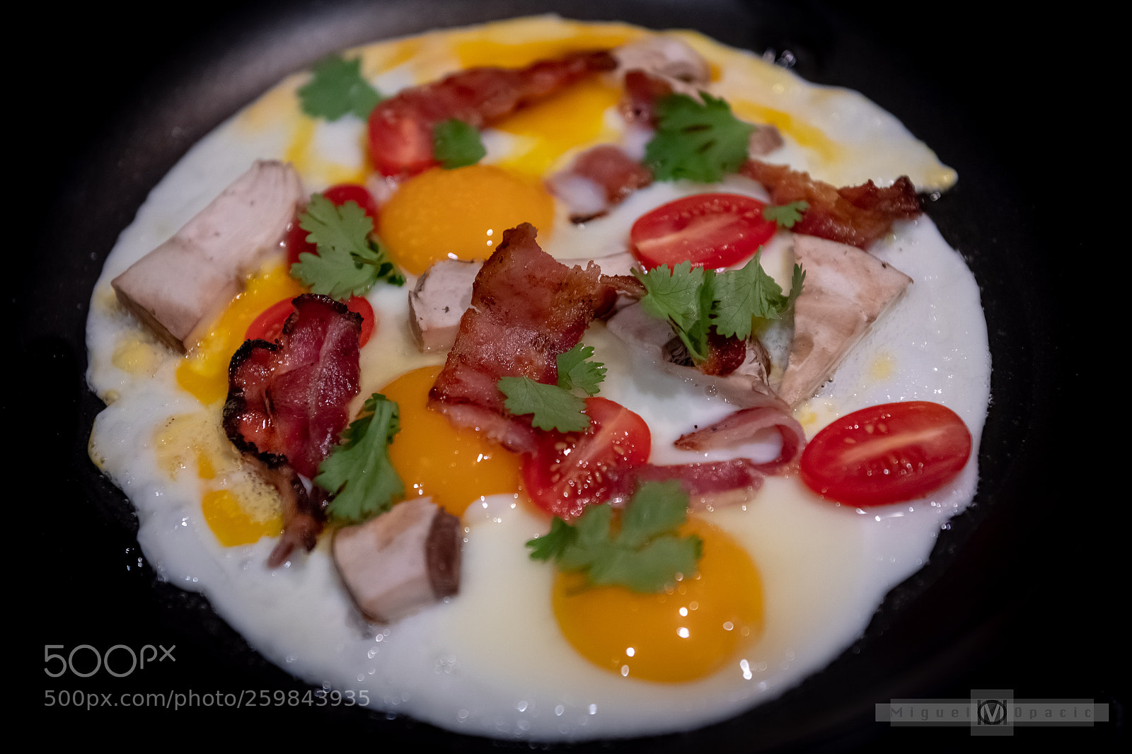 Nikon D5 sample photo. Farmer eggs photography