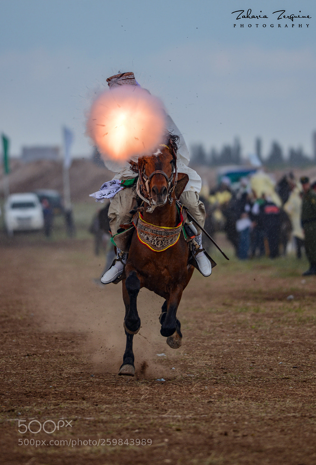 Nikon D800E sample photo. Untitled photography