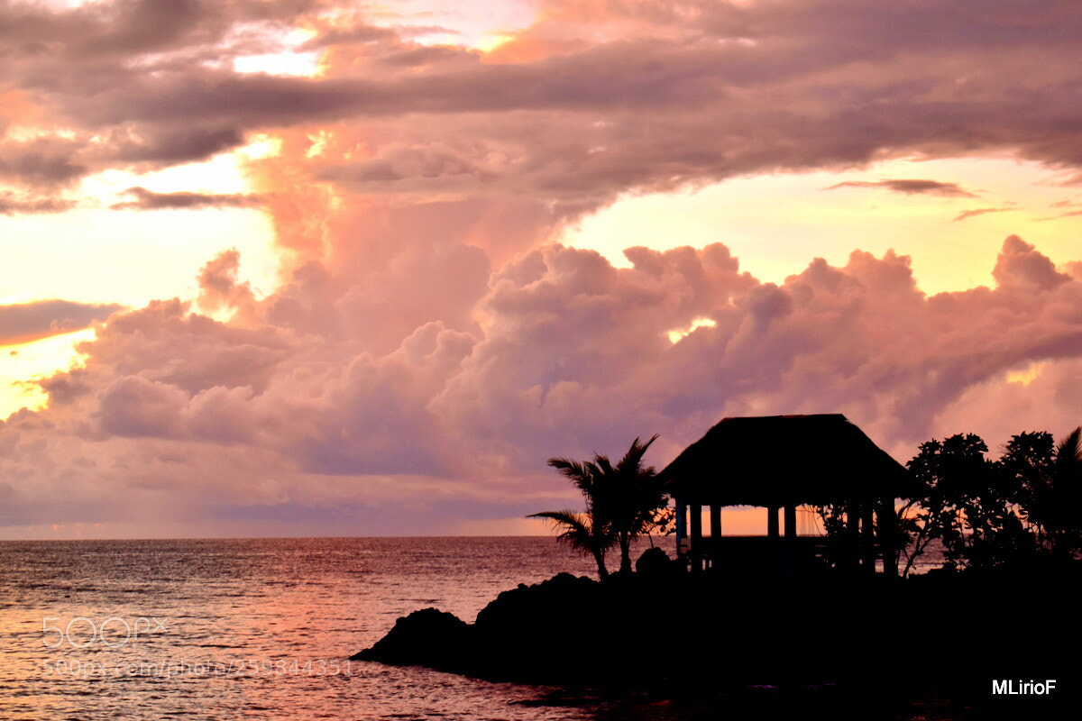 Nikon D5500 sample photo. Sunrise in the beach photography