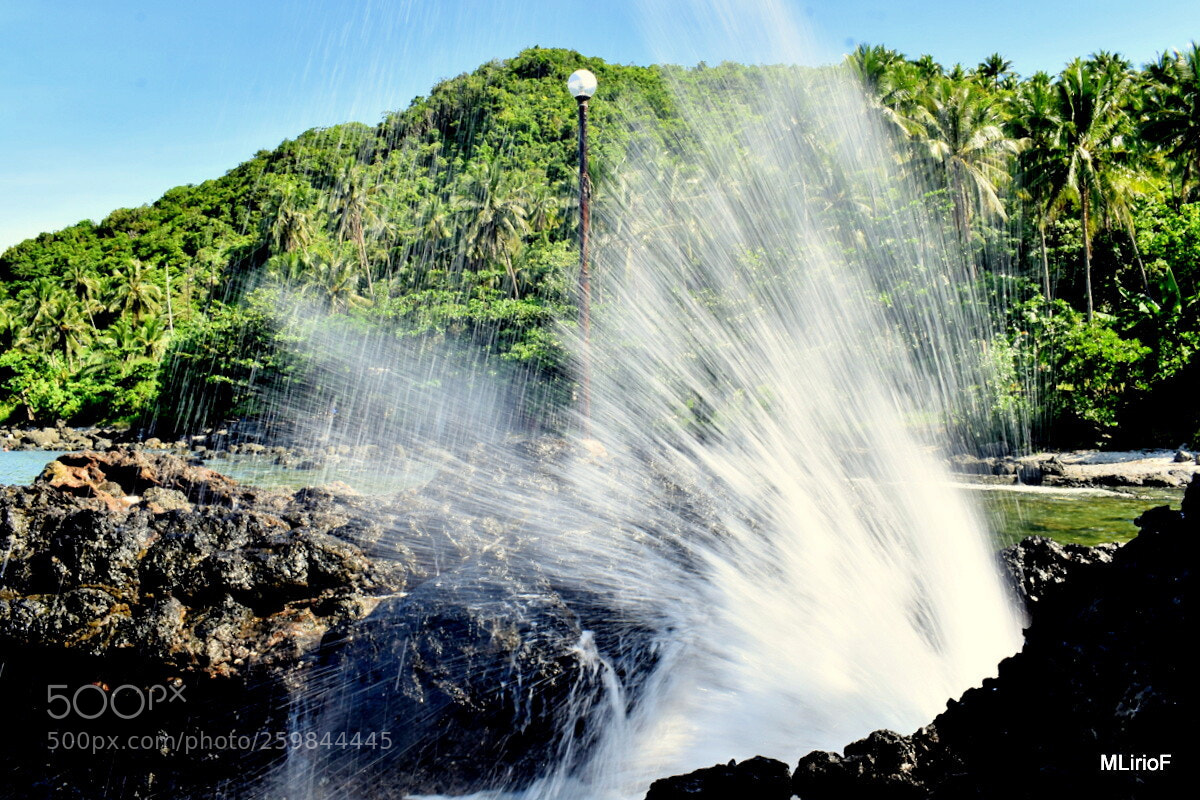 Nikon D5500 sample photo. A splash of the photography