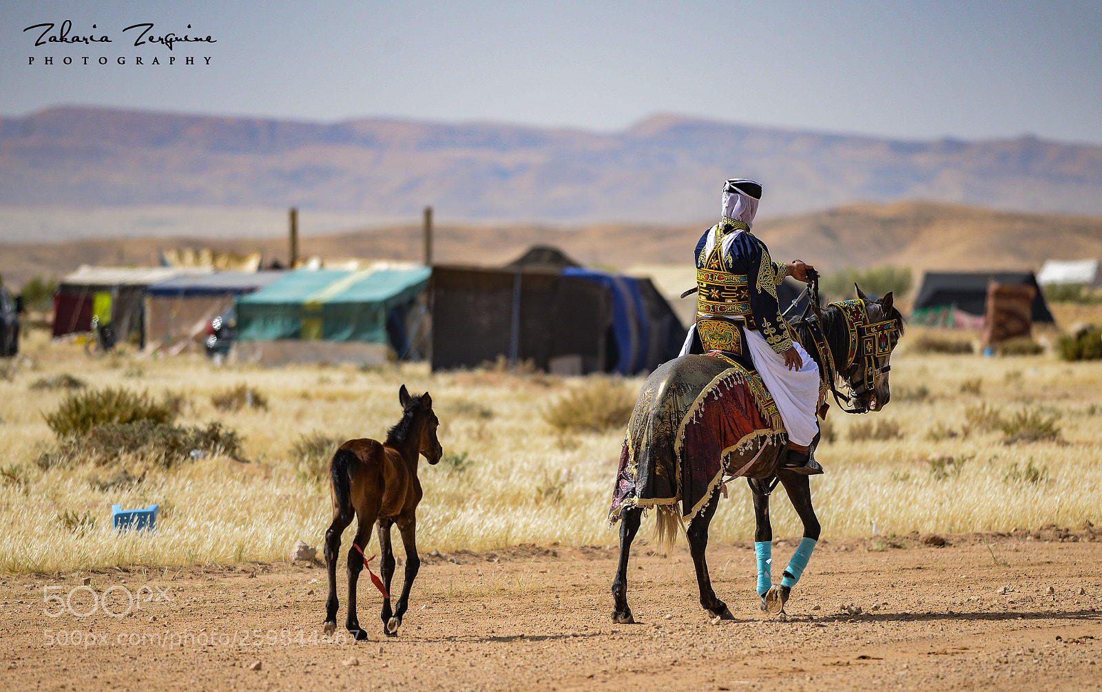 Nikon D800E sample photo. Untitled photography