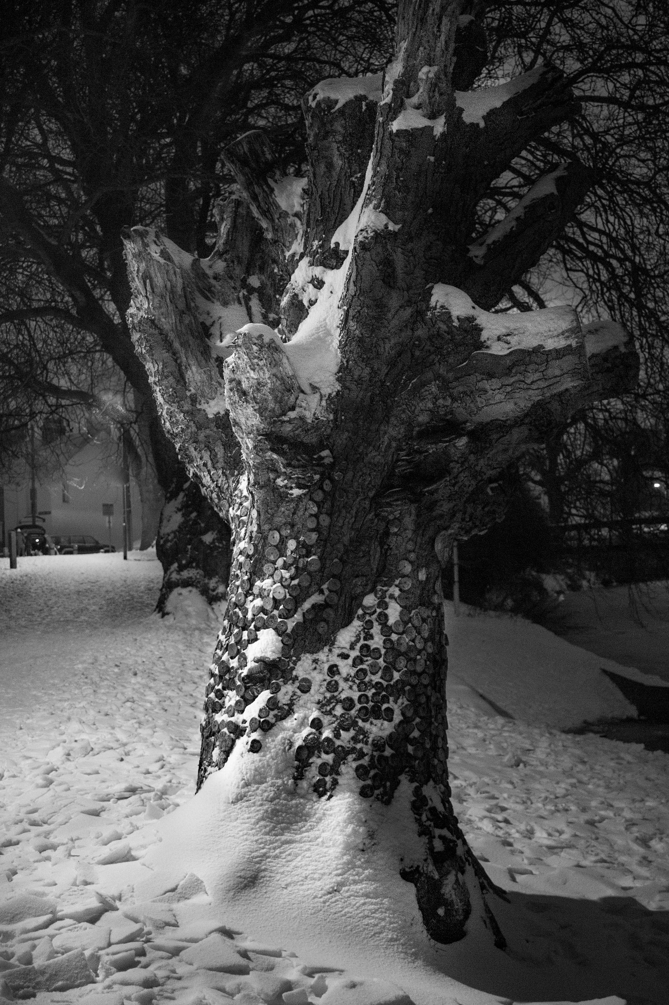 Canon EOS 600D (Rebel EOS T3i / EOS Kiss X5) sample photo. Spring snow drifts, taunton photography