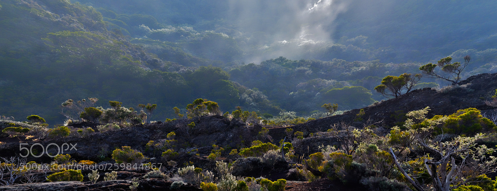 Nikon D7000 sample photo. Light effects photography