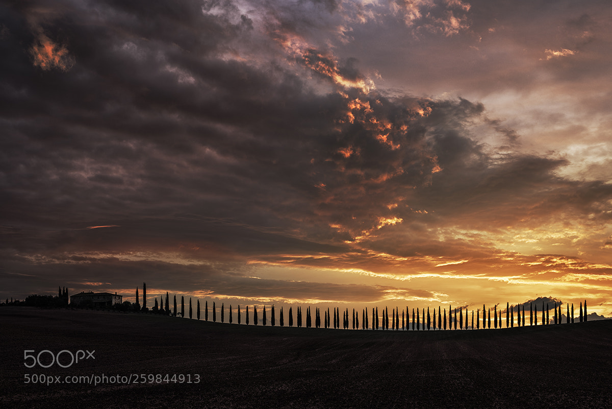 Nikon D810 sample photo. Tuscan dawn 3 photography
