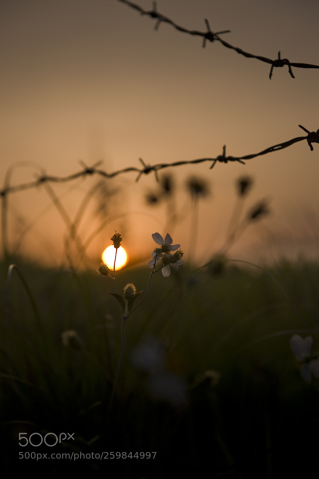 Nikon D4S sample photo. Sunset photography