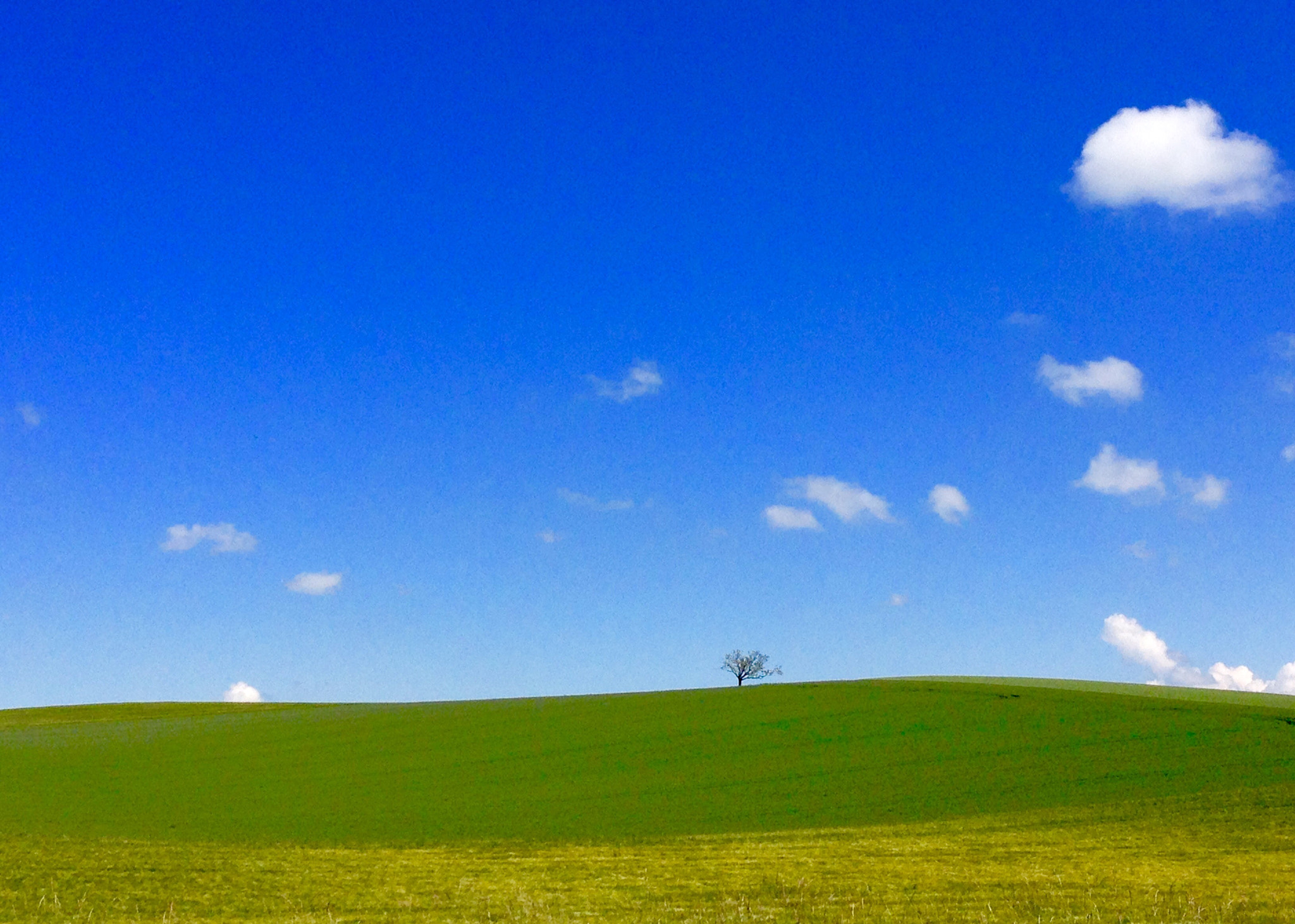 Apple iPhone 5c sample photo. 24 mai 2018 photography