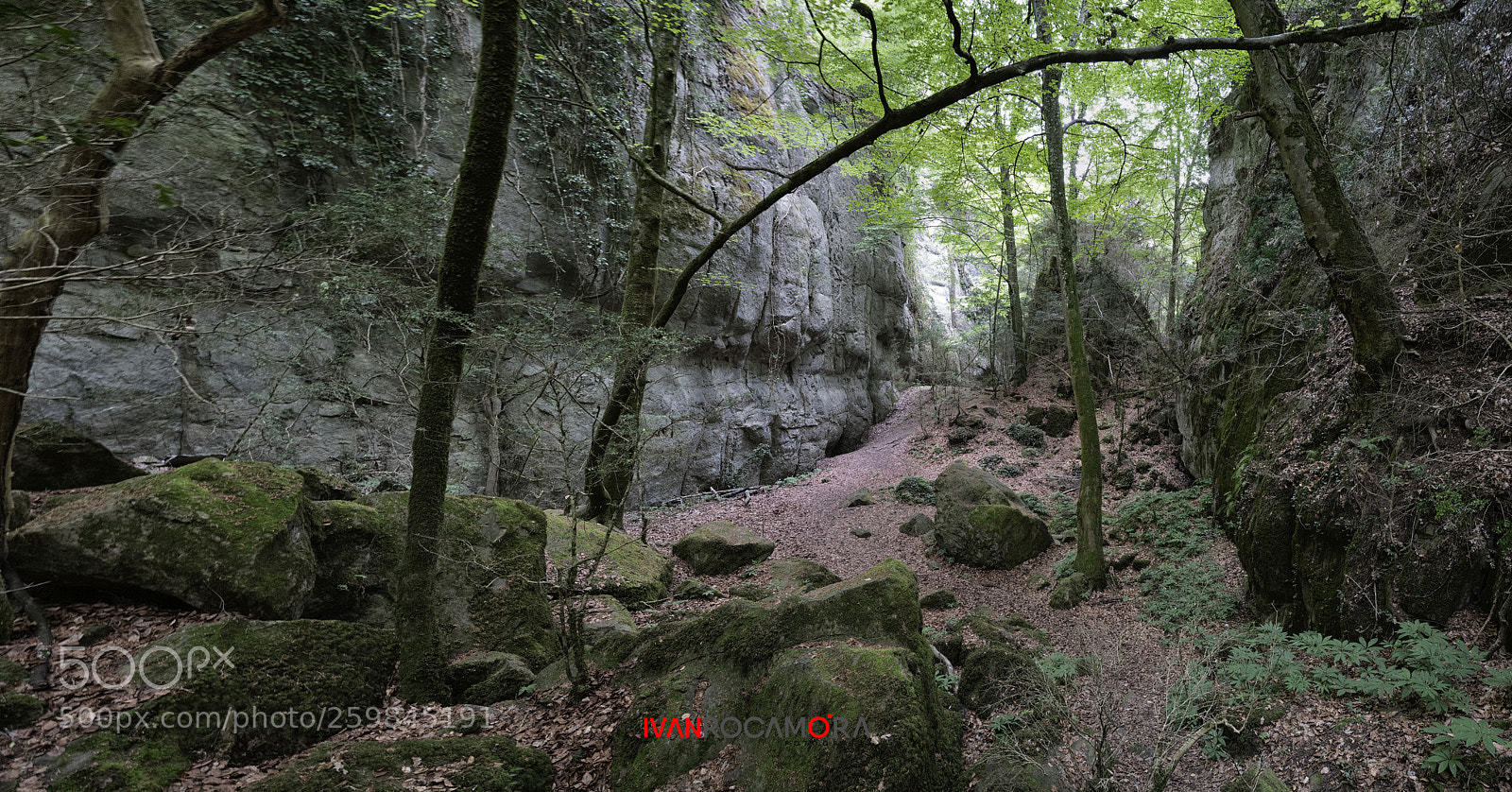 Sony a7R III sample photo. Bosc magic photography