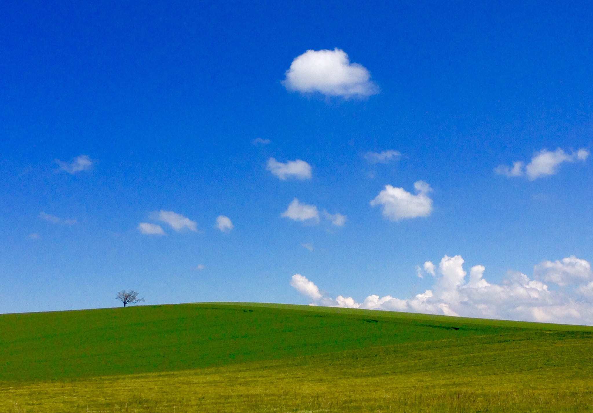 Apple iPhone 5c sample photo. 24 mai 2018 photography