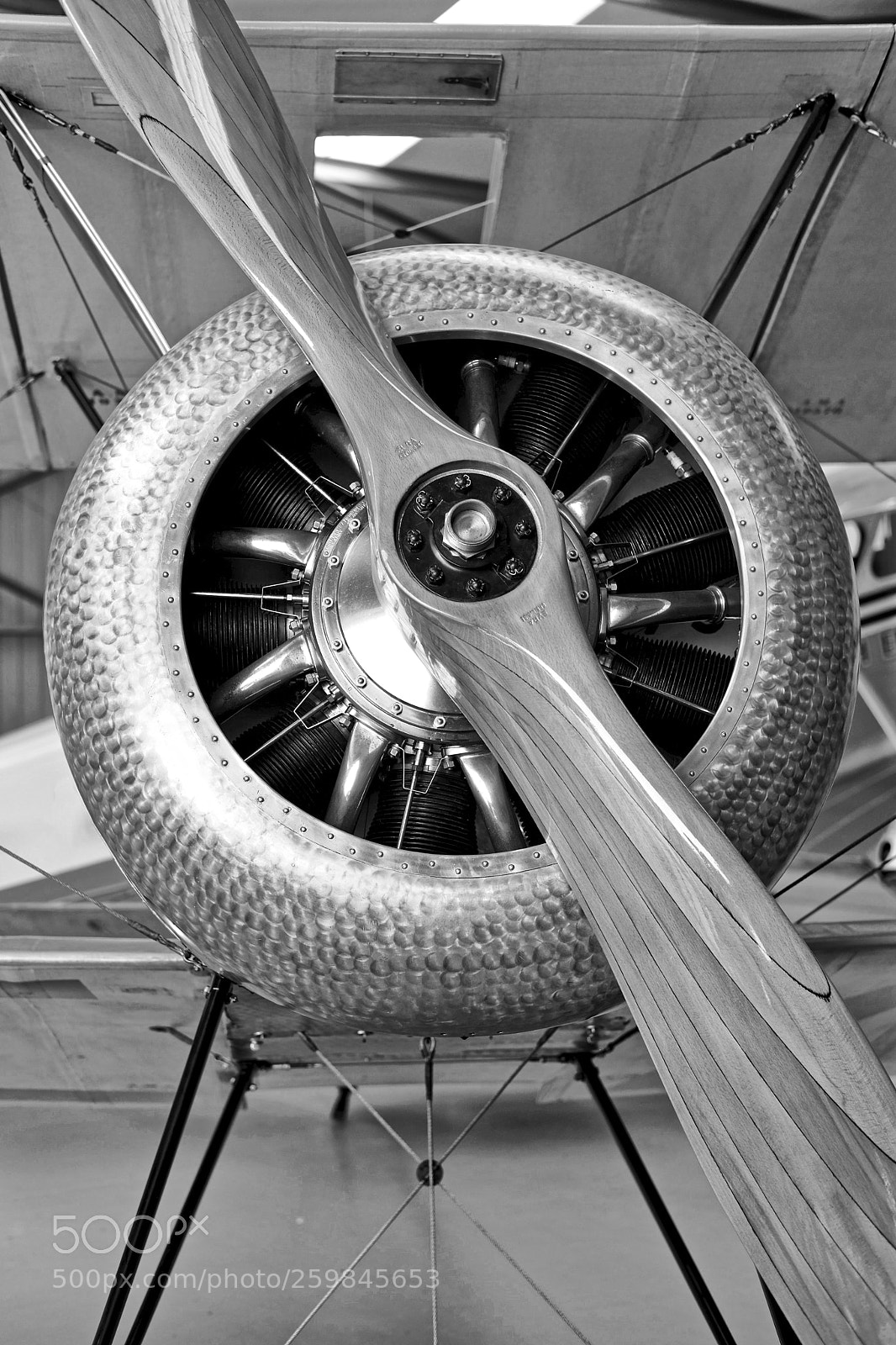 Fujifilm X-Pro2 sample photo. Magnificent flying machine. photography