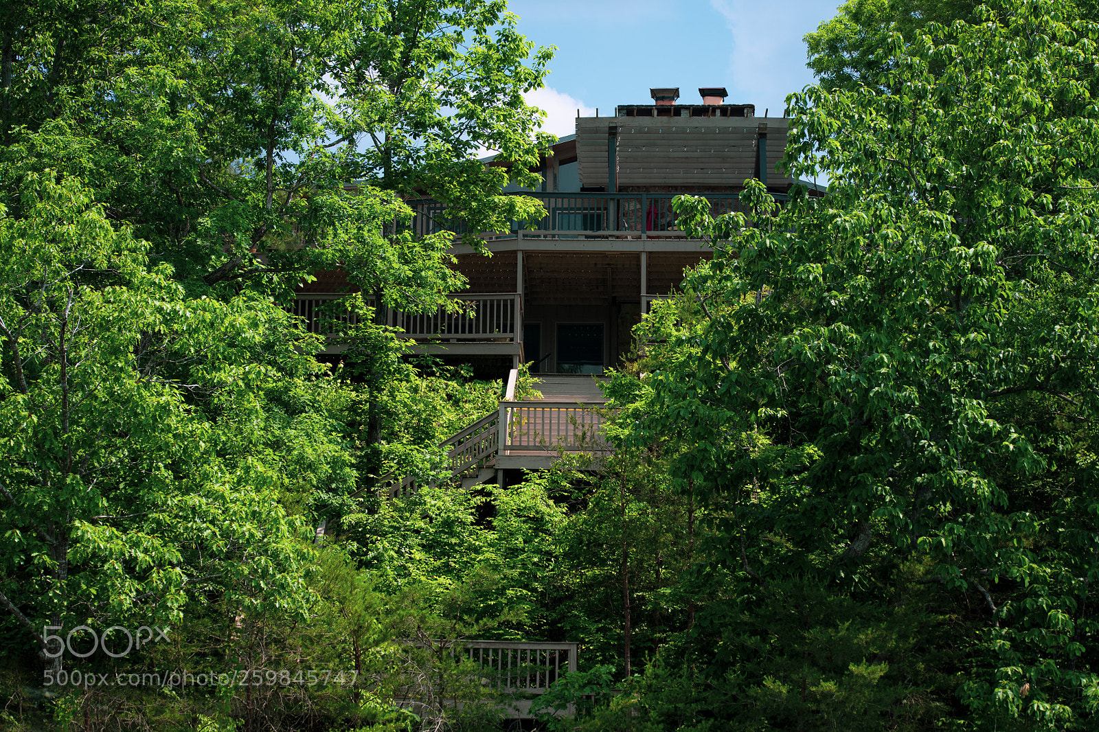 Nikon D850 sample photo. Home in the trees photography
