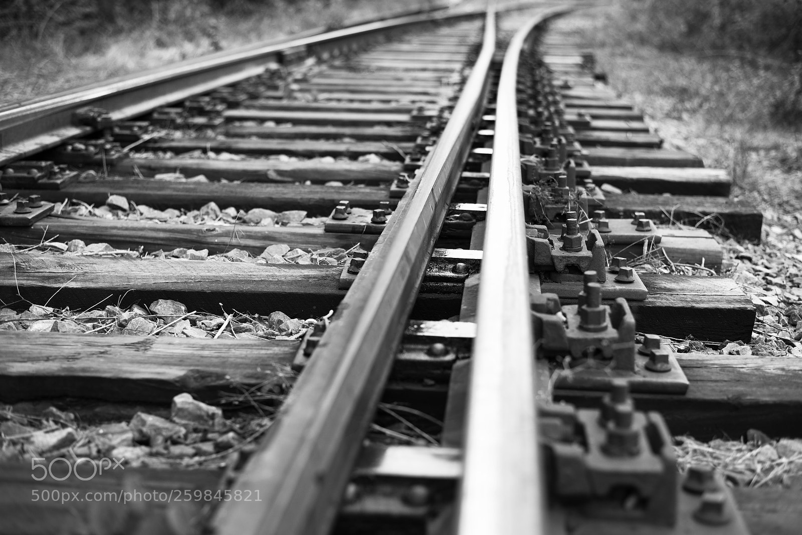 Nikon D610 sample photo. Rails to infinity. photography