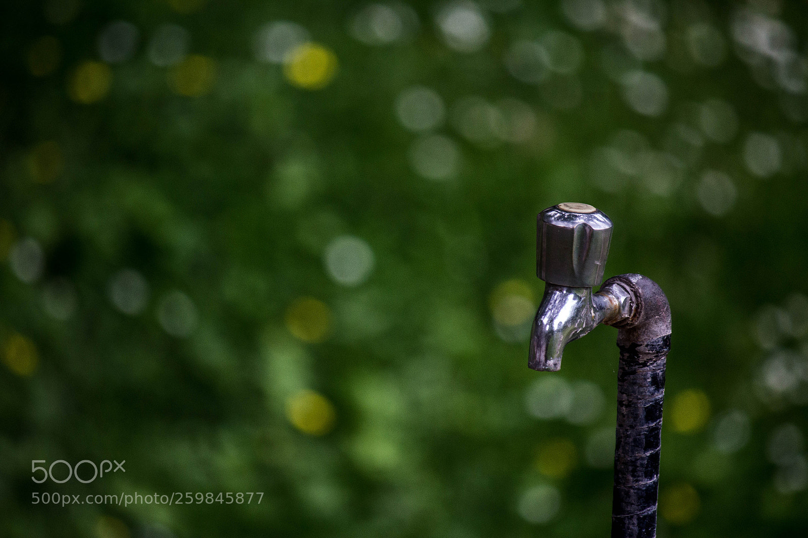 Canon EOS 60D sample photo. Dropless photography