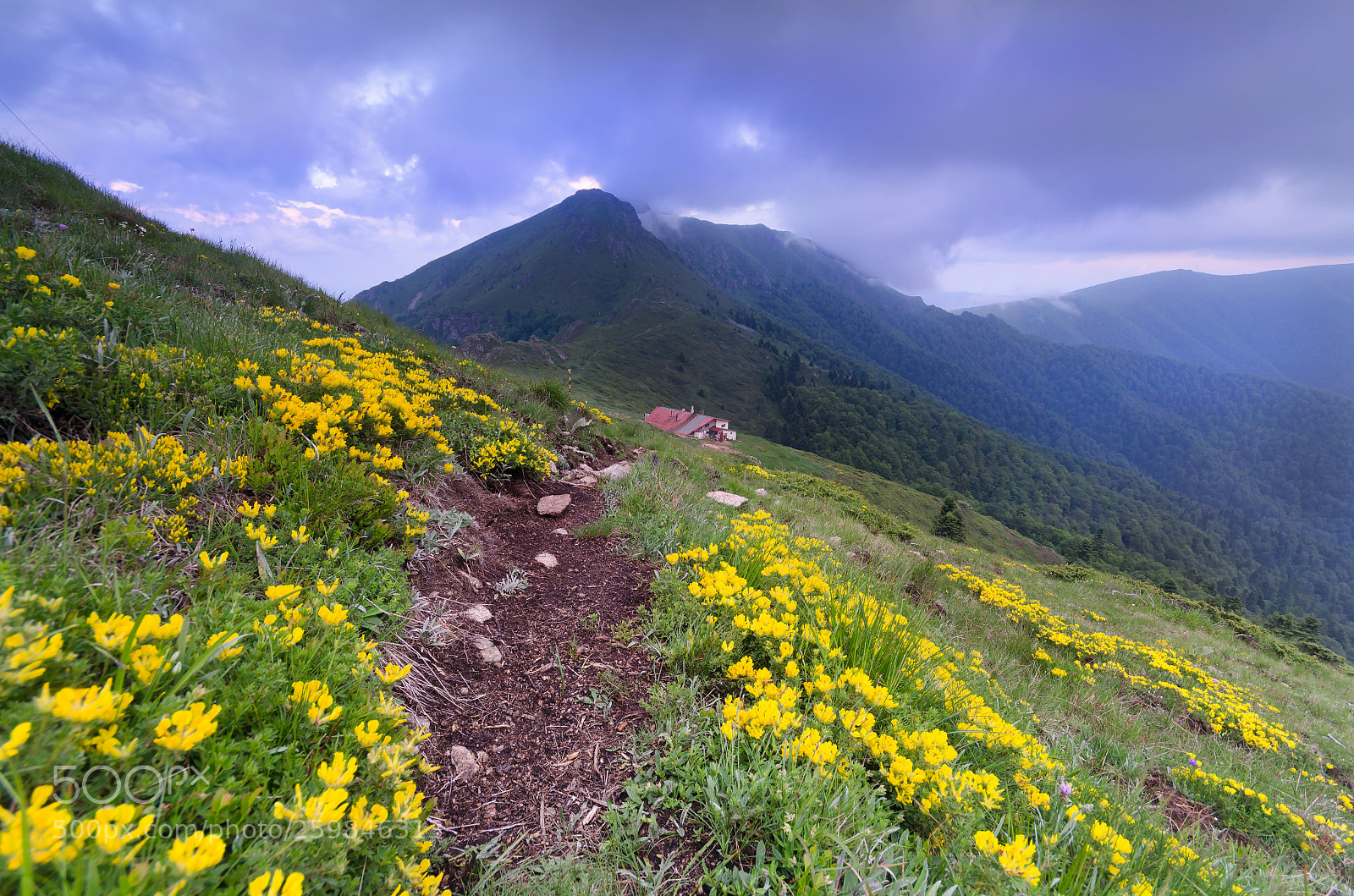 Nikon D5100 sample photo. Hut photography