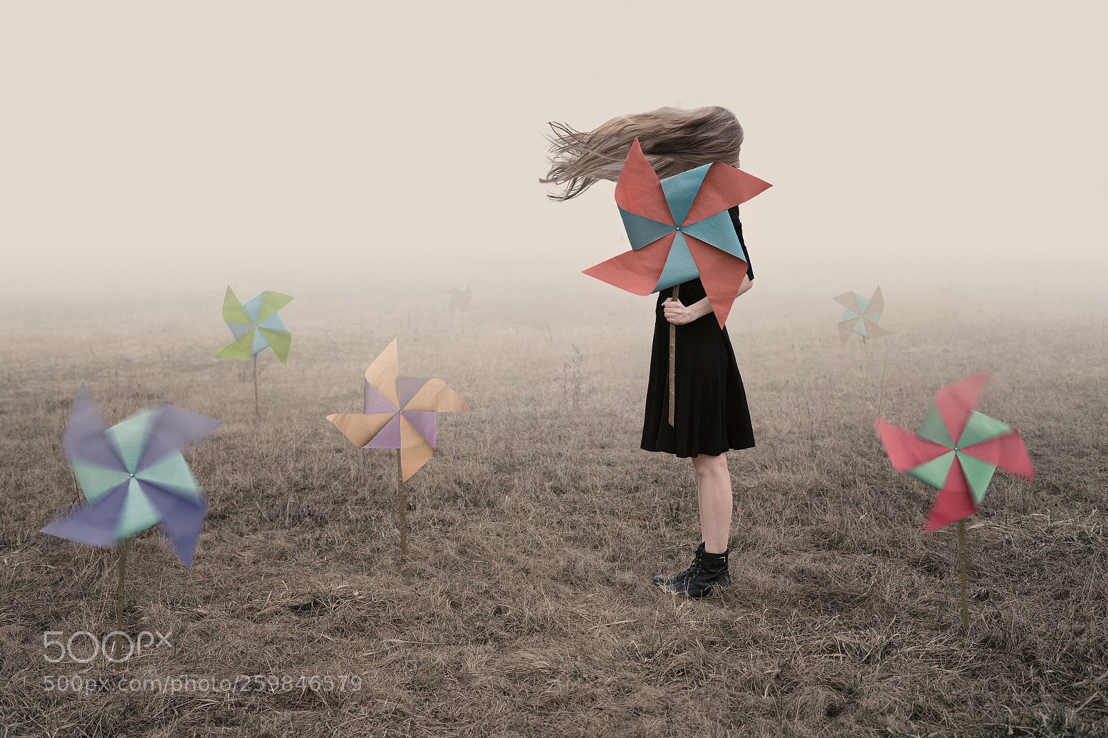 Sony a7 II sample photo. Colors of the wind photography