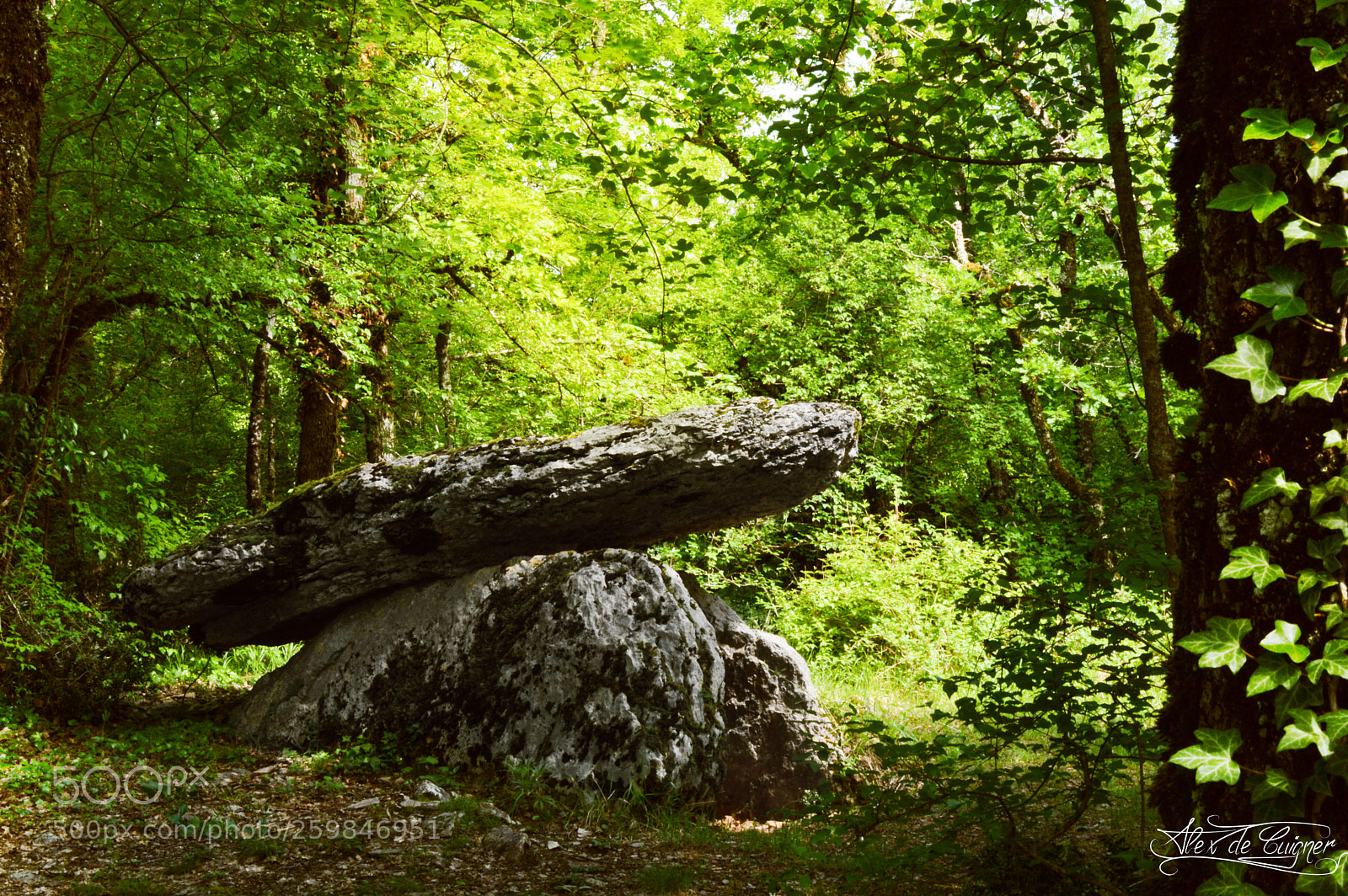Nikon D3200 sample photo. Dolmen s photography