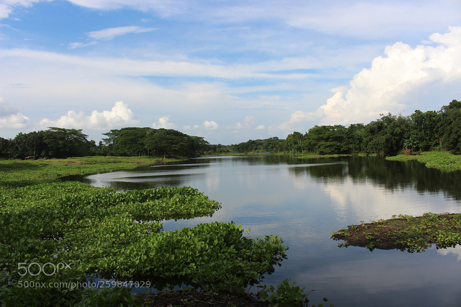 Canon EOS 700D (EOS Rebel T5i / EOS Kiss X7i) sample photo. Beautiful river in evening photography
